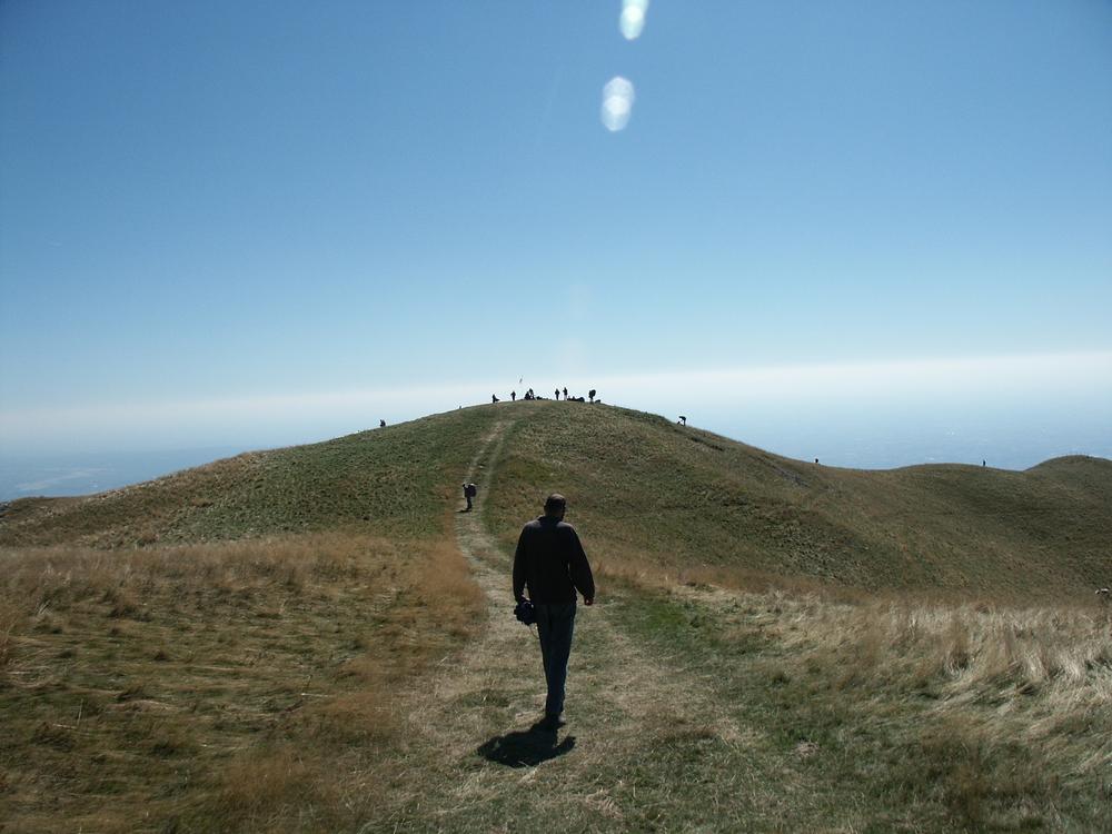 wariat's profile header