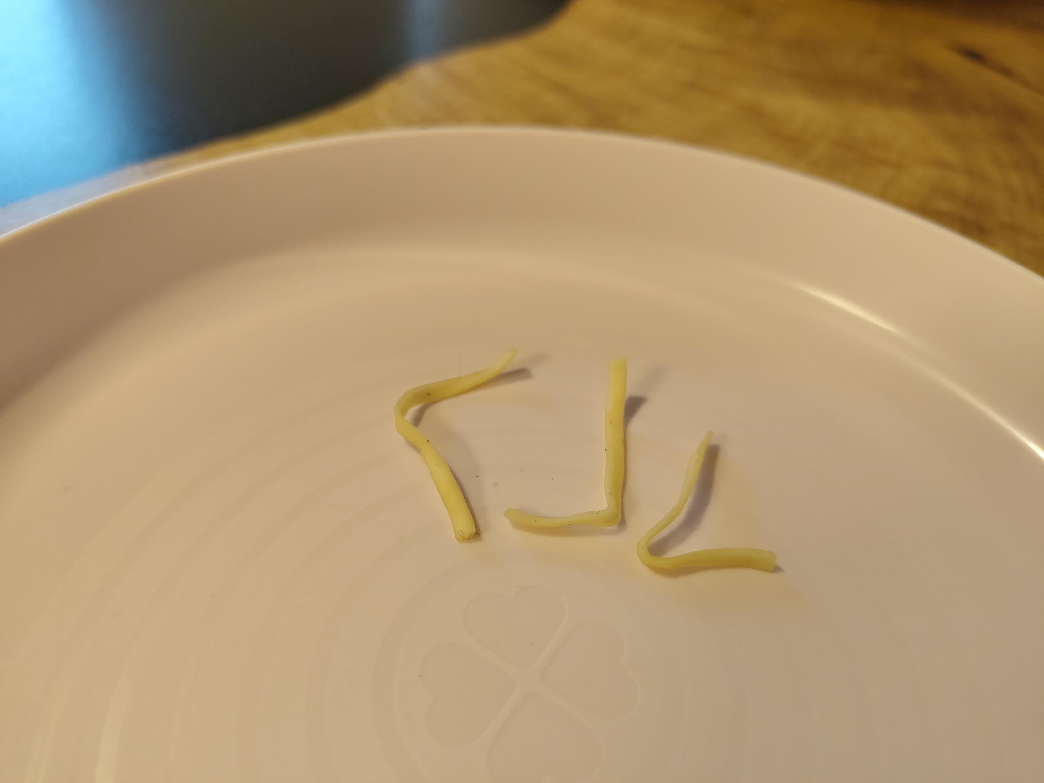 Plate with few pieces of pasta that my 2.98 years old son considered "too beautiful" to eat