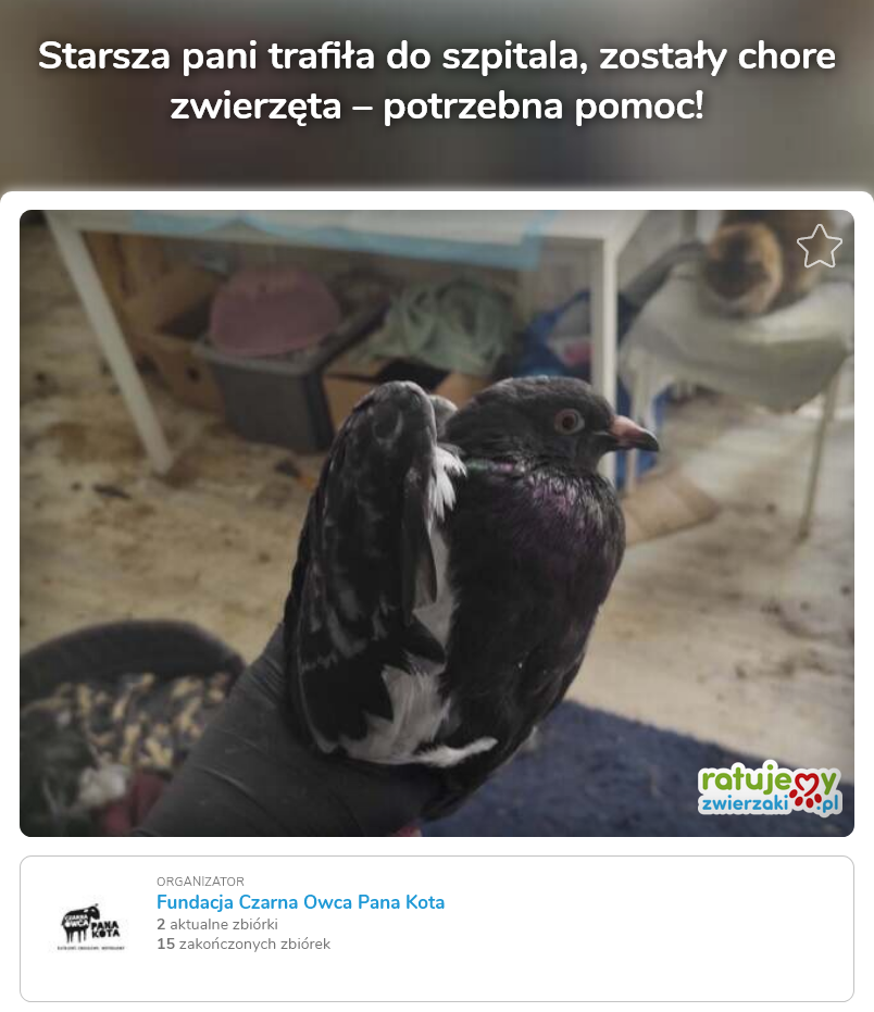 Ptak trzymany w ręce, na tle pokoju, z boku, z prawej strony na krześle siedzi kot. Napis: starsza pani trafiła do szpitala, zostały chore zwierzęta - potrzebna pomoc! Logo Fundacji Czarna Owca Pana Kota i Ratujemyzwierzaki.pl