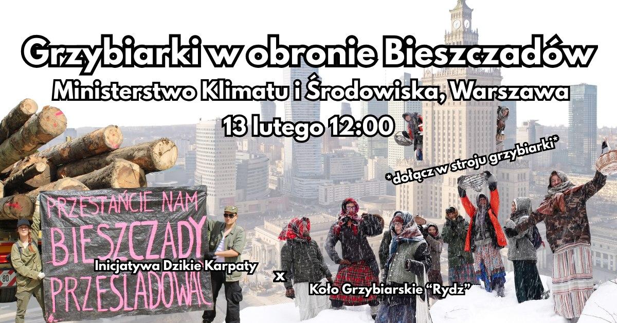 Plakat przedstawia grupę osób przebranych za starsze panie na grzybach na tle panoramy Warszawy. Widoczne są też ścięte drzewa i 2 osoby trzymające transparent z napisem "przestańcie nam Bieszczady prześladować".
