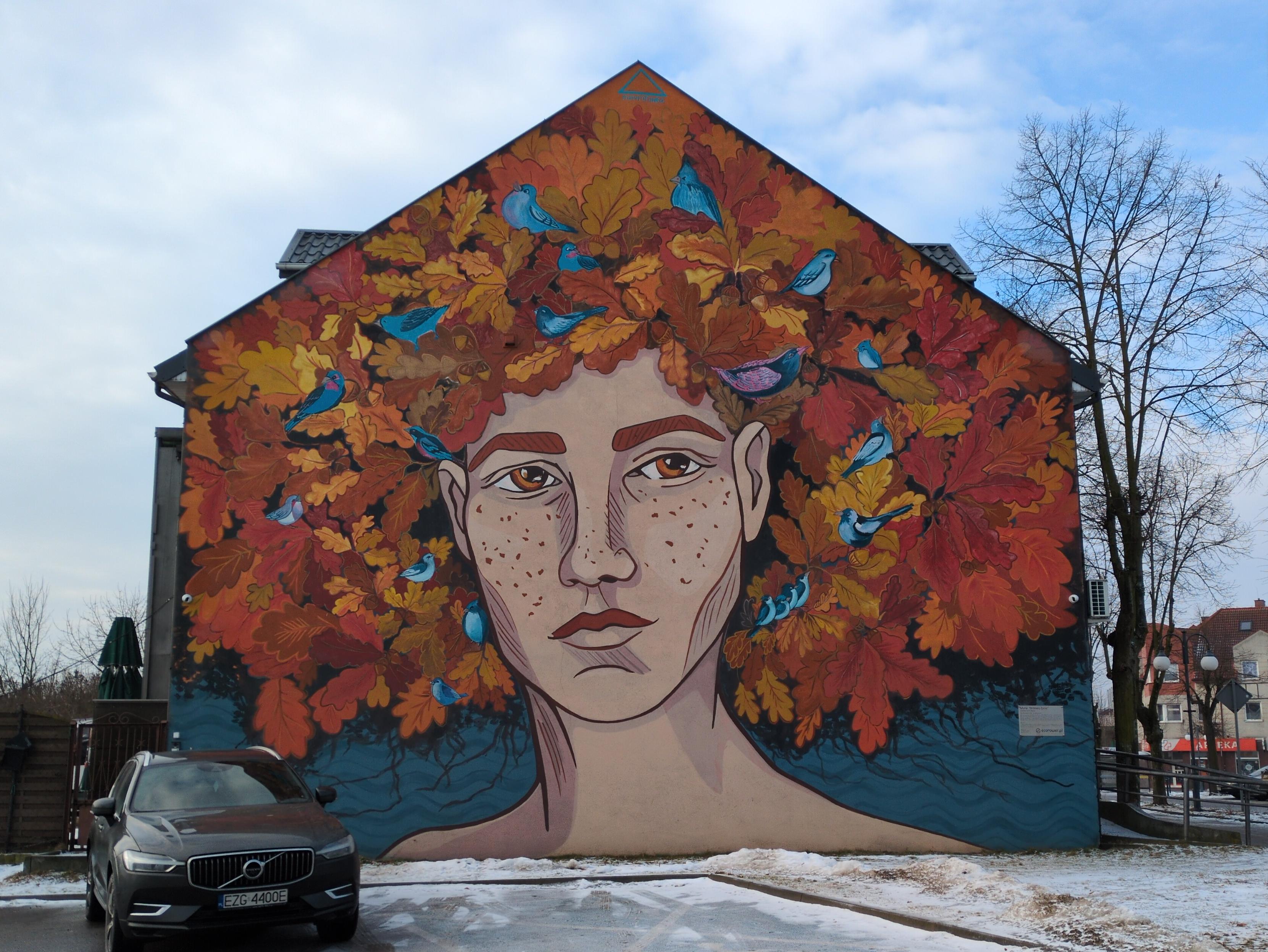 Mural przedstawiający kobiecą głowę, która w miejscu włosów ma rozległe liście w jesiennych barwach. Twarz jest raczej szczupła, z długą szyją i wyraźnymi kośćmi policzkowymi. Na twarzy piegu, wyraźne usta z górną wargą brązowego koloru, pomarańczowe oczy i grube, brązowe brwi. Liście wokół głowy są brązowo-pomarańczowo-żółte, zdaje się dębowe. Pośród nich licznie siedzą nieproporcjonalnie małe, błękitne ptaki. Tuż nad uchem jest jeden fioletowy.