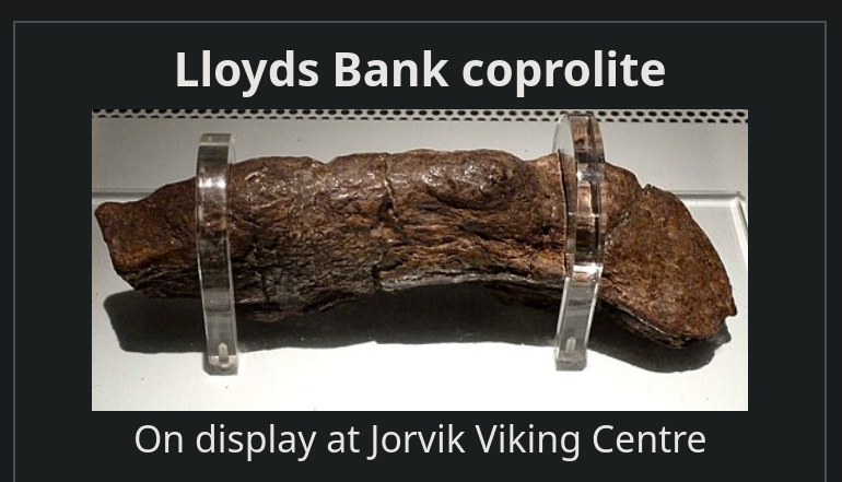 Lloyds Bank coprolite On display at Jorvik Viking Centre