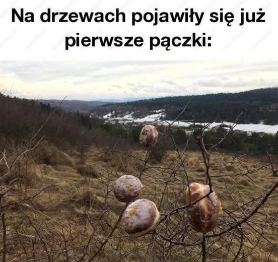 Drzewko bez liści, w naturze, pączki nabite na gałązki i napis:
Na drzewach pojawiły się pierwsze pączki