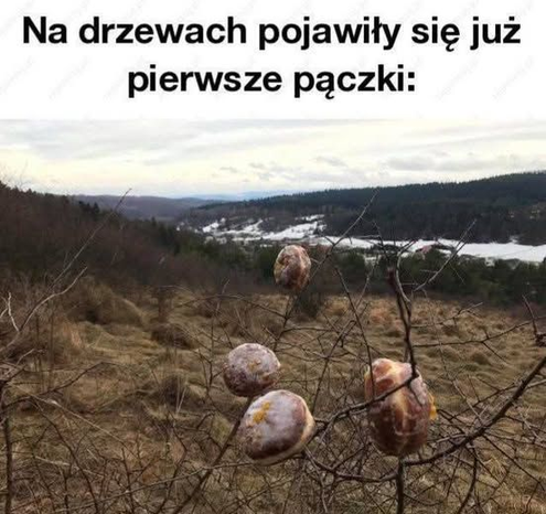 Posted media