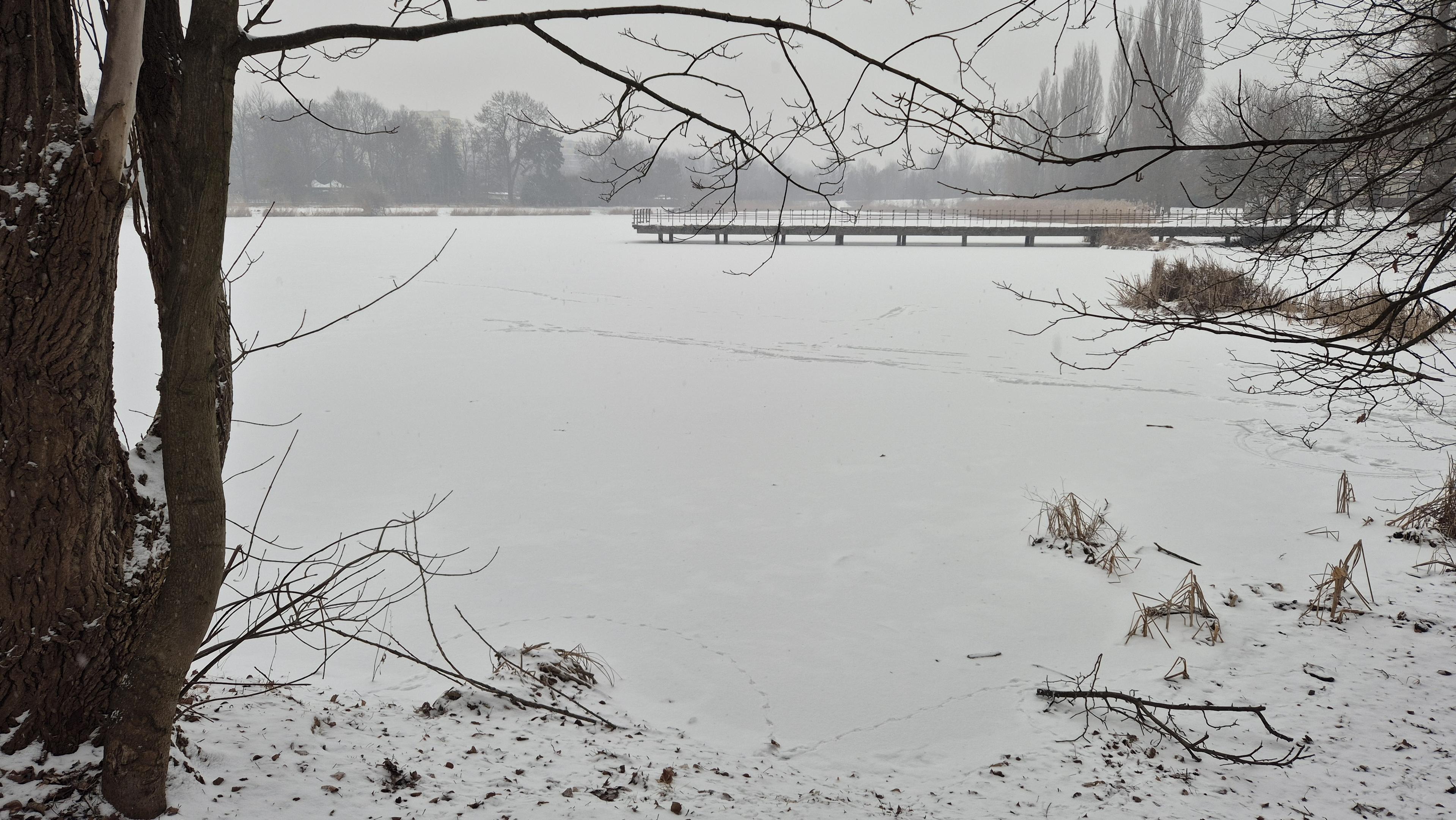 Perspektywa zamarzniętego, pokrytego śniegiem stawu. W oddali widać pomost. Dzień pochmurny i szary.