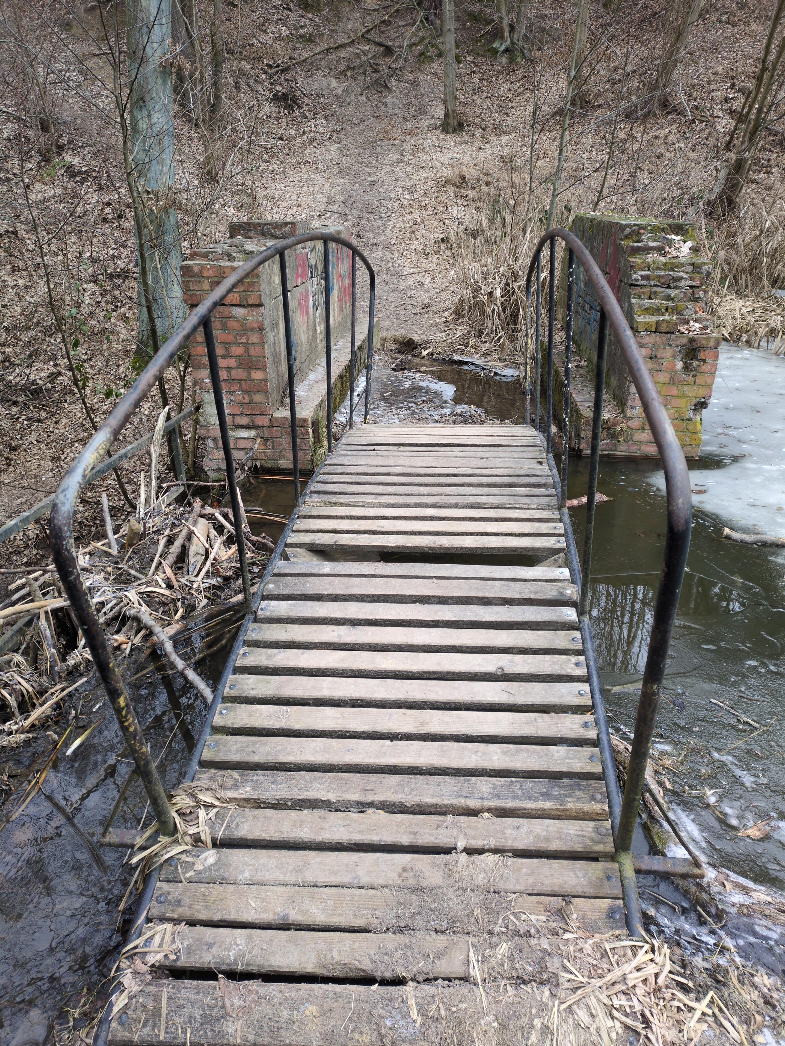 Drewniana kładka na metalowej ramie, nad wodą. Kładka kończy się w… wodzie, otoczonej po obydwu stronach kawałkami murku. Murek jest na troszkę szerszej podstawie, więc z końca kładki można po niej przejść na drugą stronę. Pośrodku kładki jedna deska jest wyłamana do środka. Murek z czerwonej cegły, trochę brudny i omszały, od środka widać na nim jakieś bazgroły, głównie czerwoną i niebieską farbą. Na lewo od kładki trochę żółtych zarośli, na prawo widać trochę lodu. Na wprost ścieżka i ziemia z pojedynczymi konarami krzewów i drzew. Całość w brązowo-żółtych barwach.