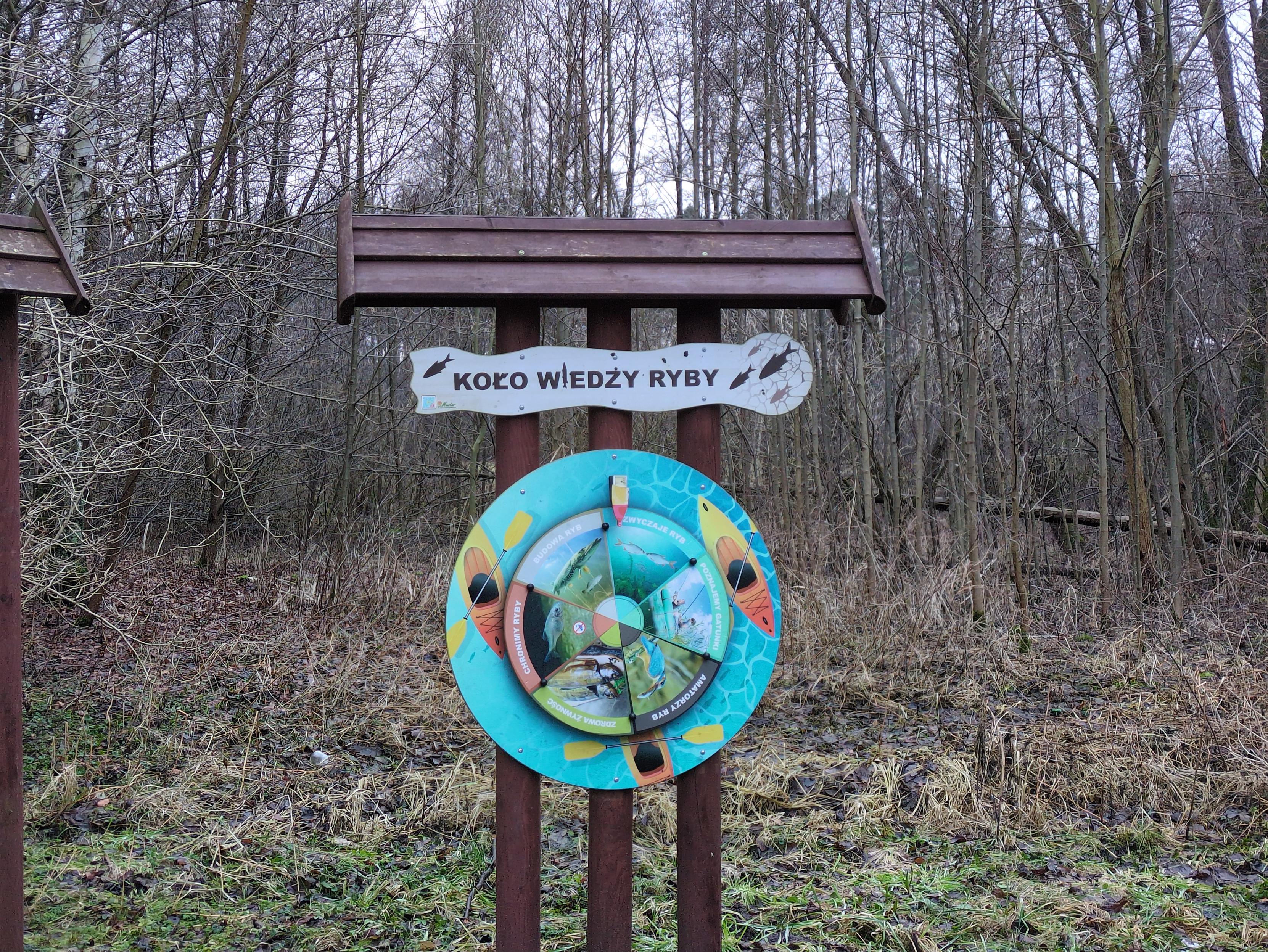 Zadaszona tablica edukacyjna na tle lasu. U góry napis "koło wiedzy ryby". Poniżej dwa koncentryczne koła. Zewnętrzne przedstawia kajaki z góry na tle wody. Wewnętrzne podzielone jest na sześć części, z ilustracjami i opisami, i najwyraźniej obraca się na zasadzie "koła fortuny". U góry jest dynks pokazujący wylosowany temat. Tematy to "budowa ryb", "zwyczaje ryb", "poznajemy gatunki", "amatorzy ryb", "zdrowa żywność" oraz "chronione ryby". Większość ilustracji przedstawia ryby, jedna wędkarzy na łodzi, a jedna ptaka z rybą w dziobie.