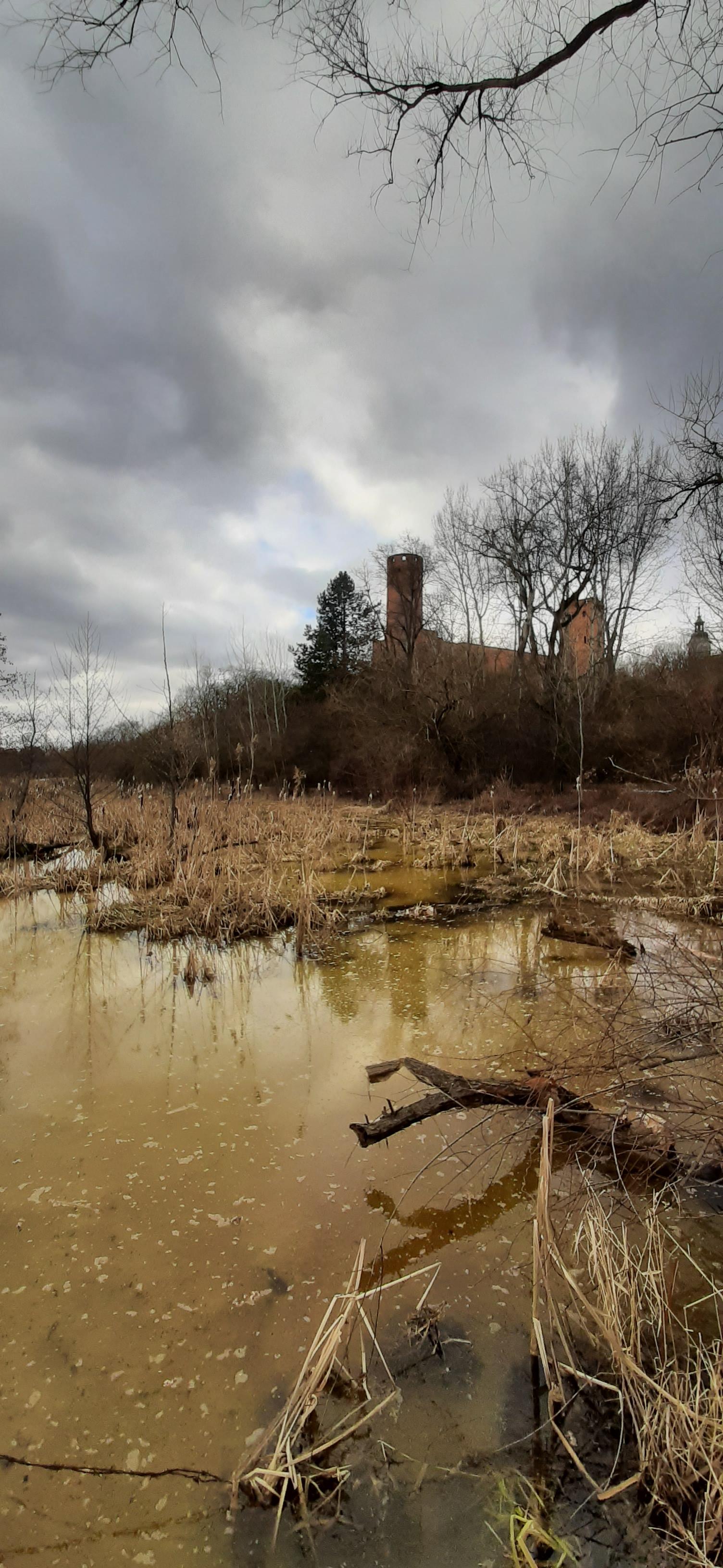 Wczesnowiosenne bagno z rozlewiskiem. W tleza drzewami ruiny gotyckiego zamku z 2 wieżami i murem oraz neobarokowy hełm kościelnej wieży.