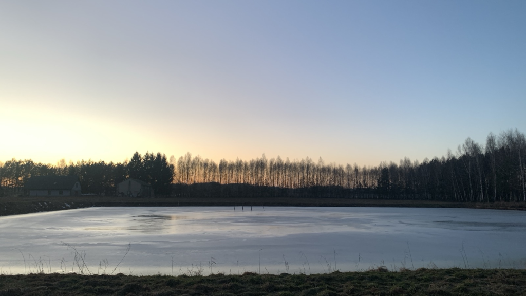 Zamarznięty staw rybny za wałem. W tle las. Niebo czyste, po zachodzie słońca