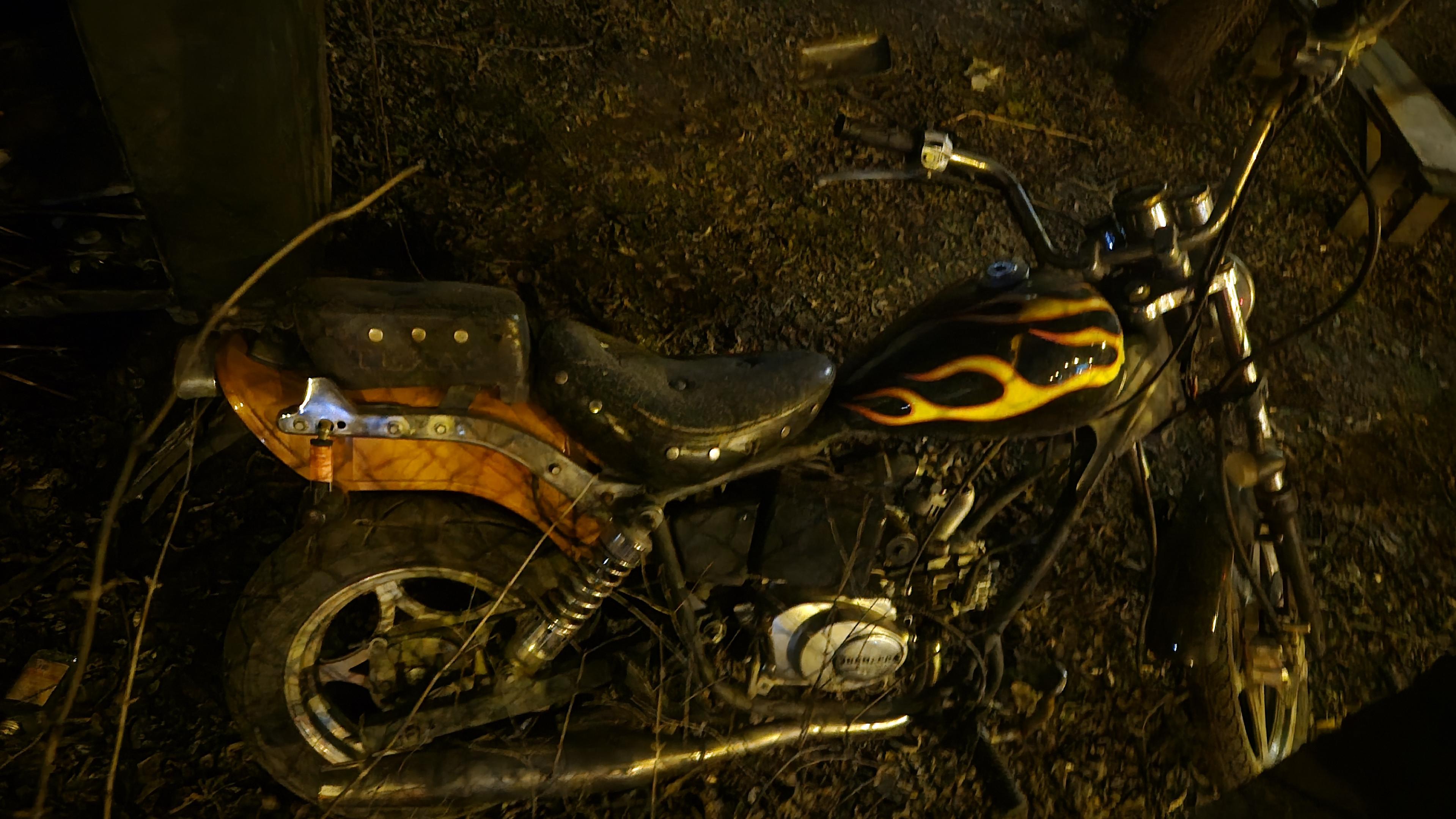 Mały skuter produkcji chińskiej, stylizowany na amerykański chopper, wrastający w krzaki na zaniedbanym podwórku.