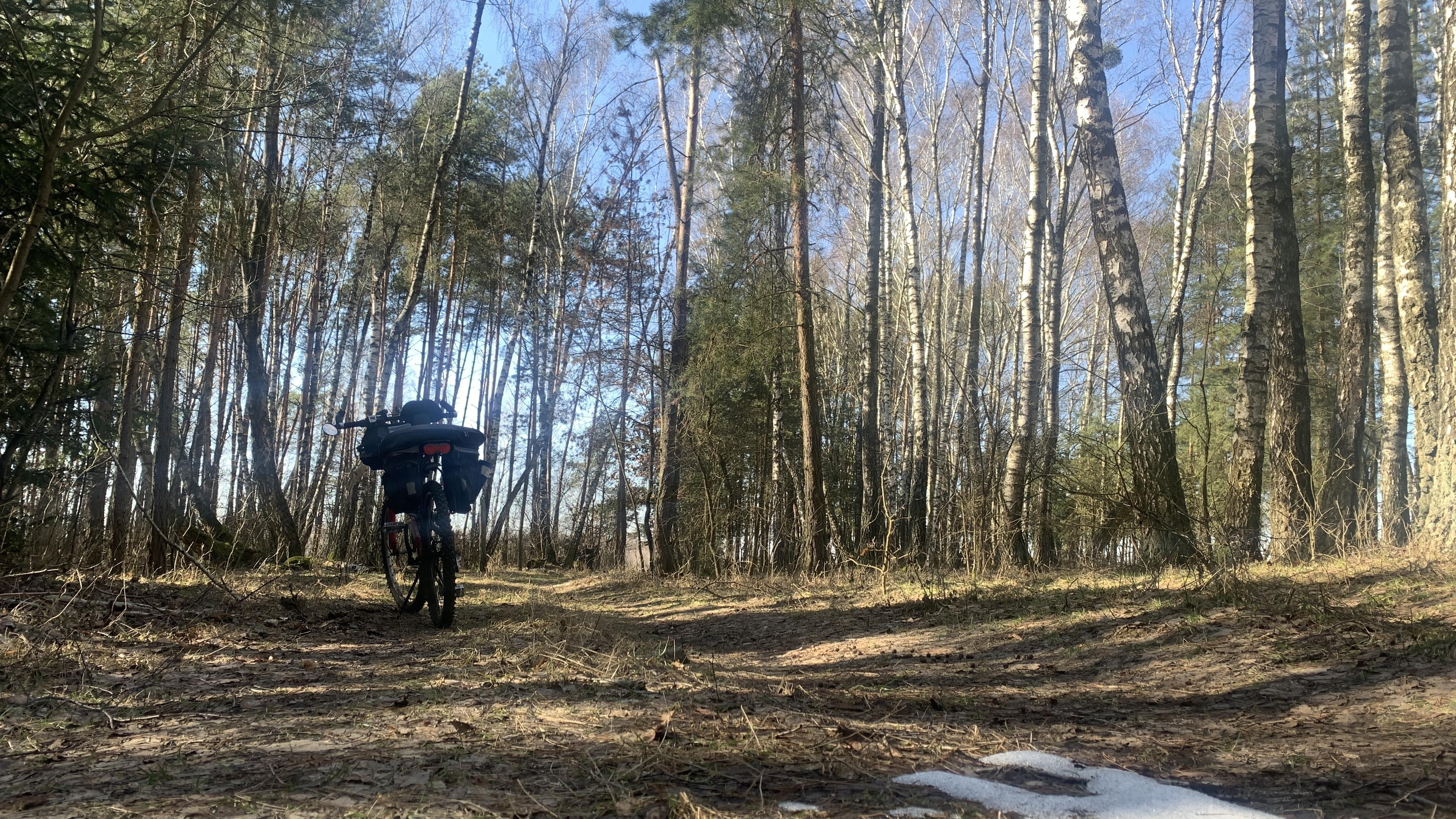 Rower na leśnej drodze. Resztki śniegu, słońce, pięknie