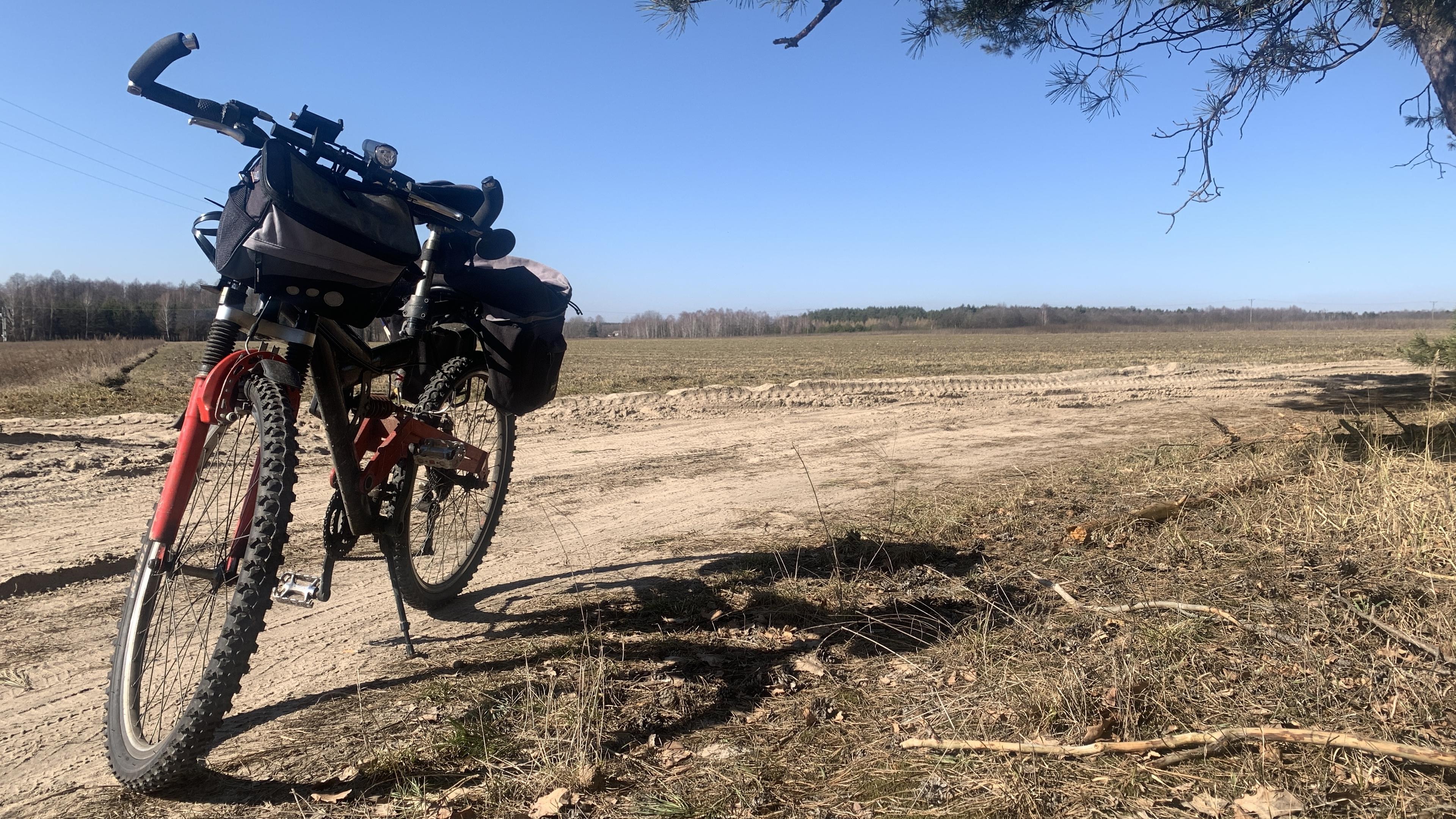 Stary rower na polnej drodze pod lasem, pola