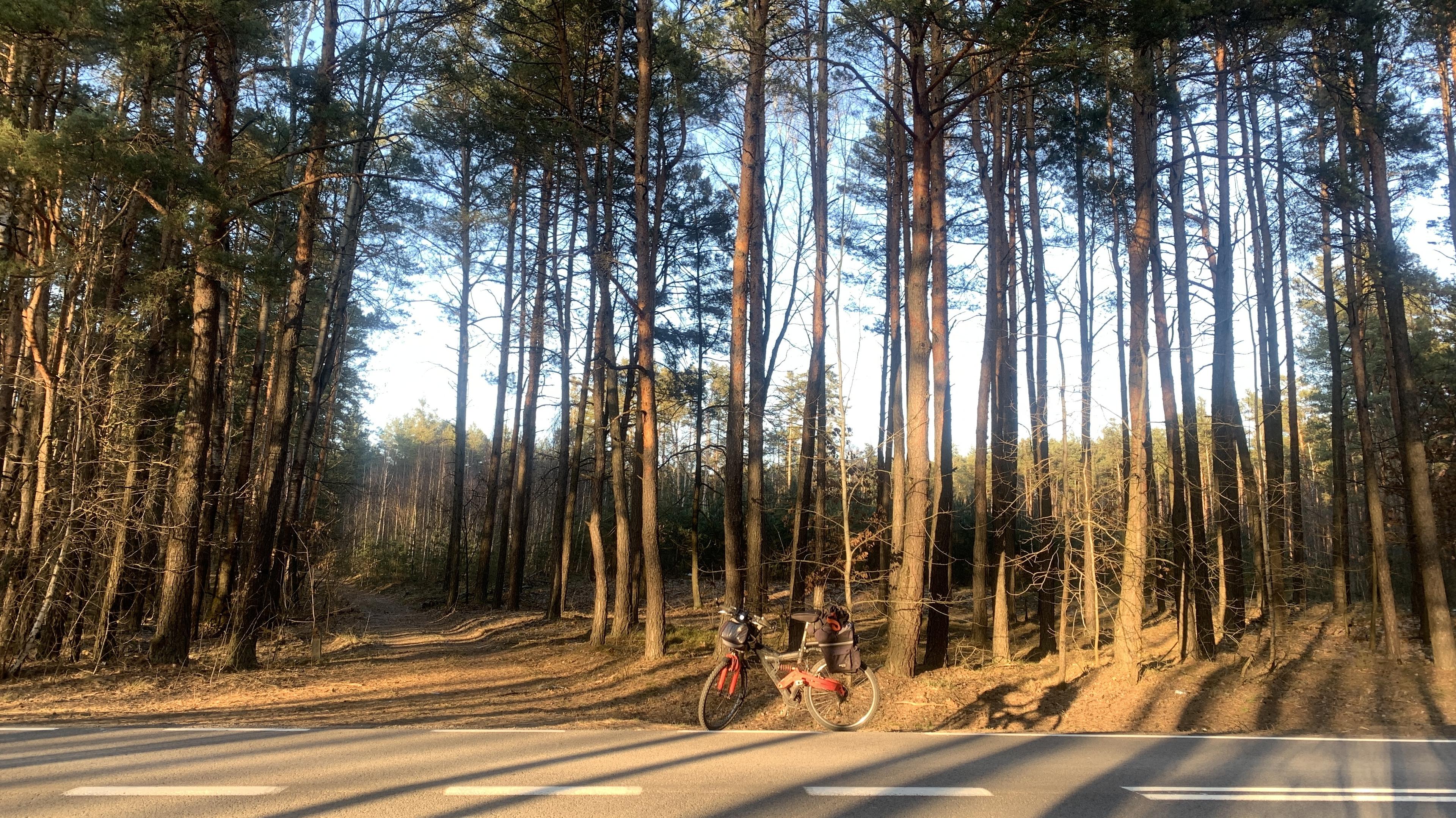 Przed lasem i leśną drogą na poboczu stoi na drodze asfaltowej (obładowany torbami) rower terenowy. Piękne światłocienie od niskiego, prawie już zachodzącego słońca.
