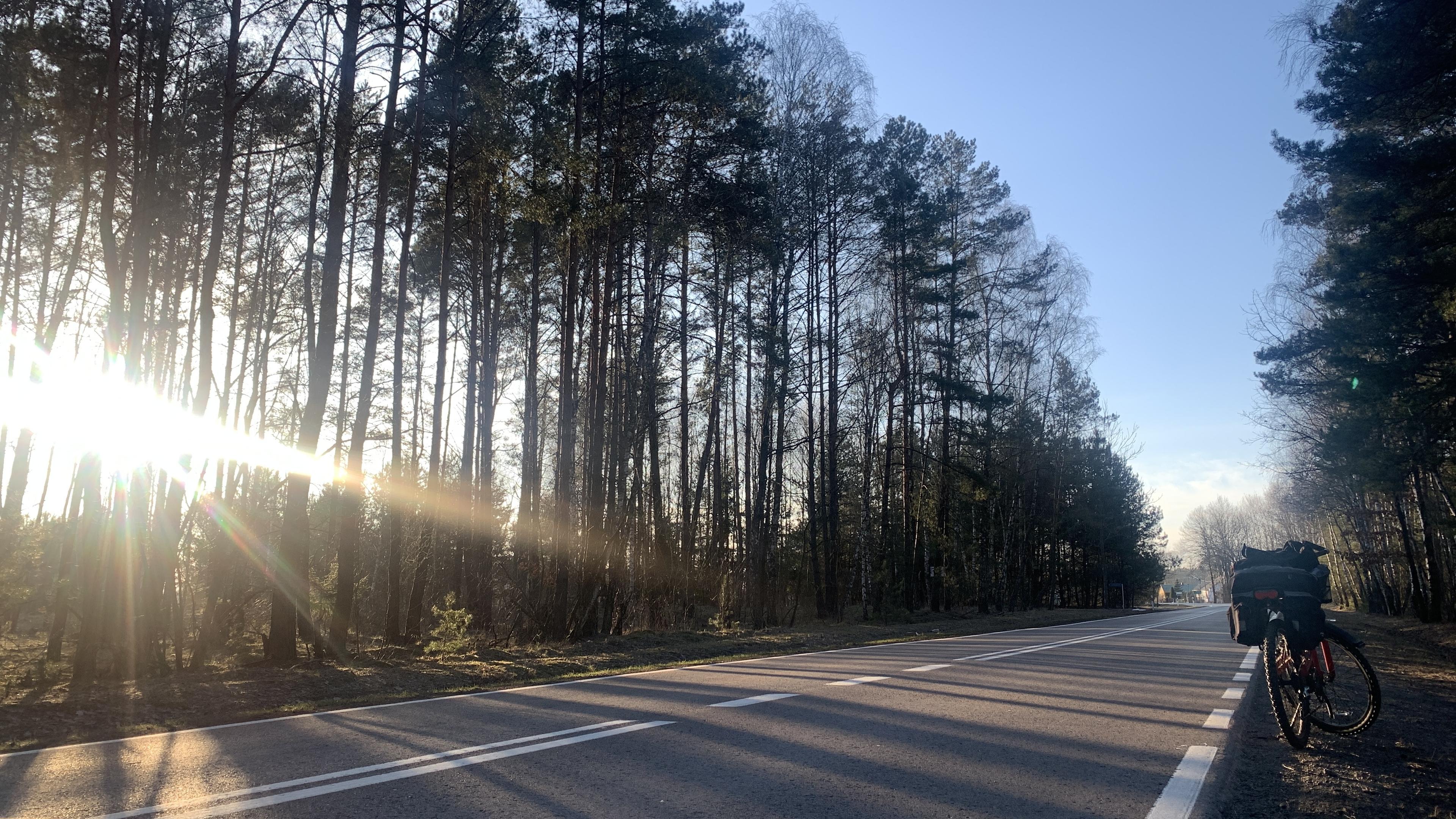 Asfaltowa droga przez las, z lewej przebija się słońce nisko nad horyzontem. Przy drodze rower. Dalej w tle pierwsze zabudowania.