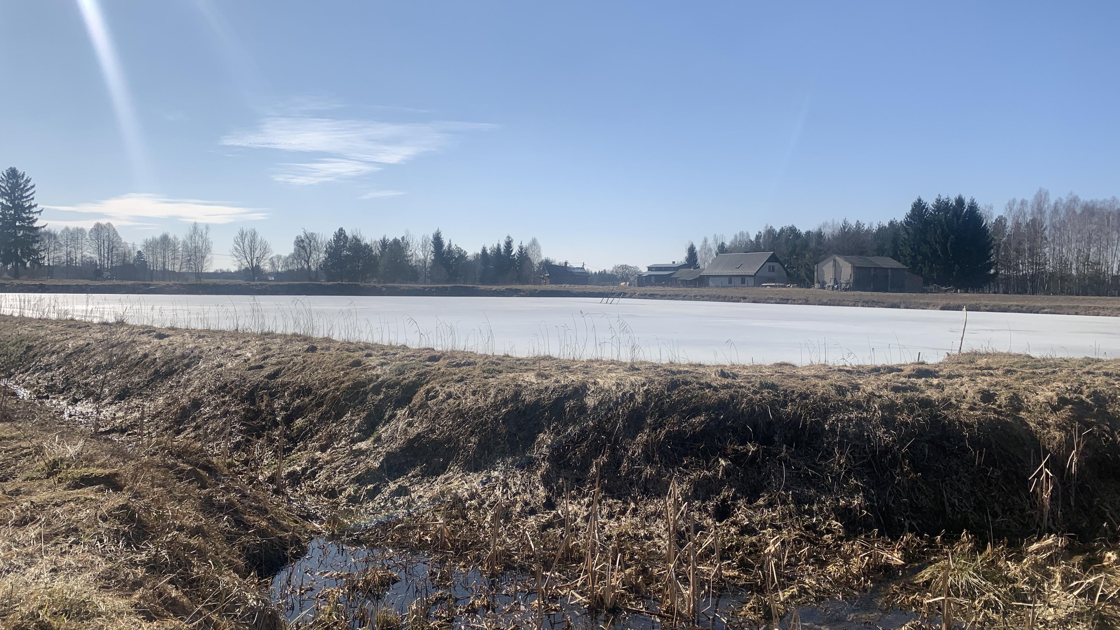 Zamarznięty staw w pełnym słońcu. Niże strumień zielenieje wodorostami na wiosnę, krystaliczna woda.