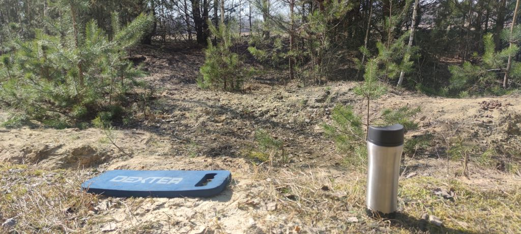 Widok na kawałek lasu, podkolannik, na którym siadam i kubek kawy