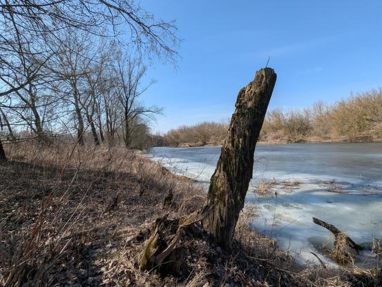 Mała odnoga Wisły zmrożona do dna. Zdjęcie kolorowe, pogoda słoneczna . 