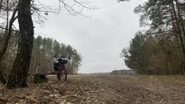 Posted media