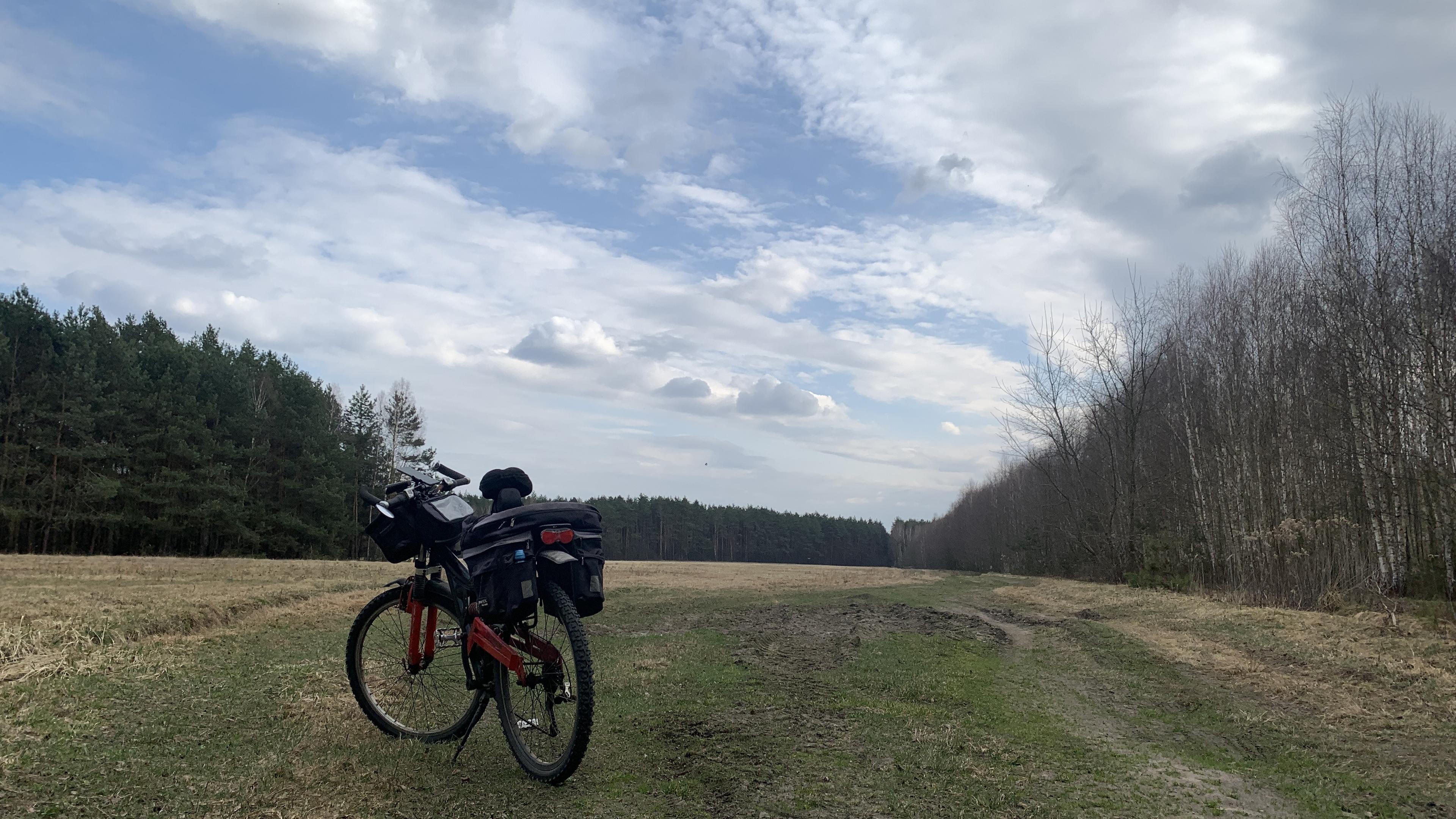 Rower terenowy na dużej polanie, łące, w lesie
