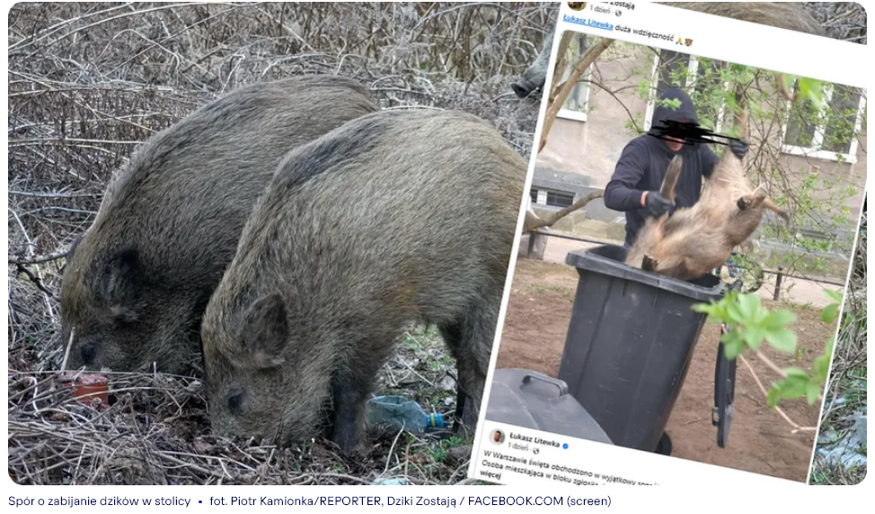 Fundacja Czarna Owca Pana Kota (@czarnaowcapanakota@mastodon.com.pl)