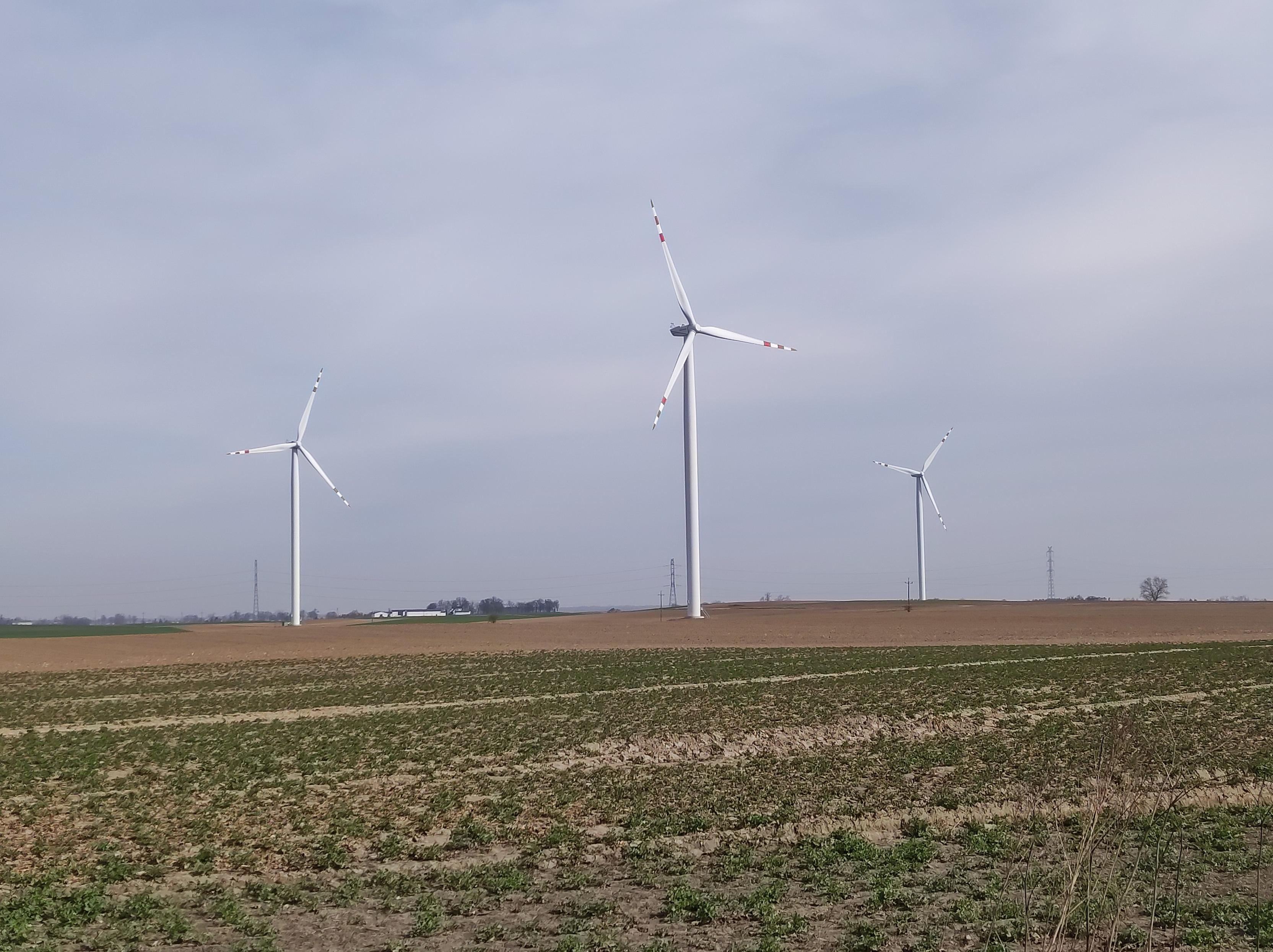 Trzy wiatraki stoją w pustym polu.