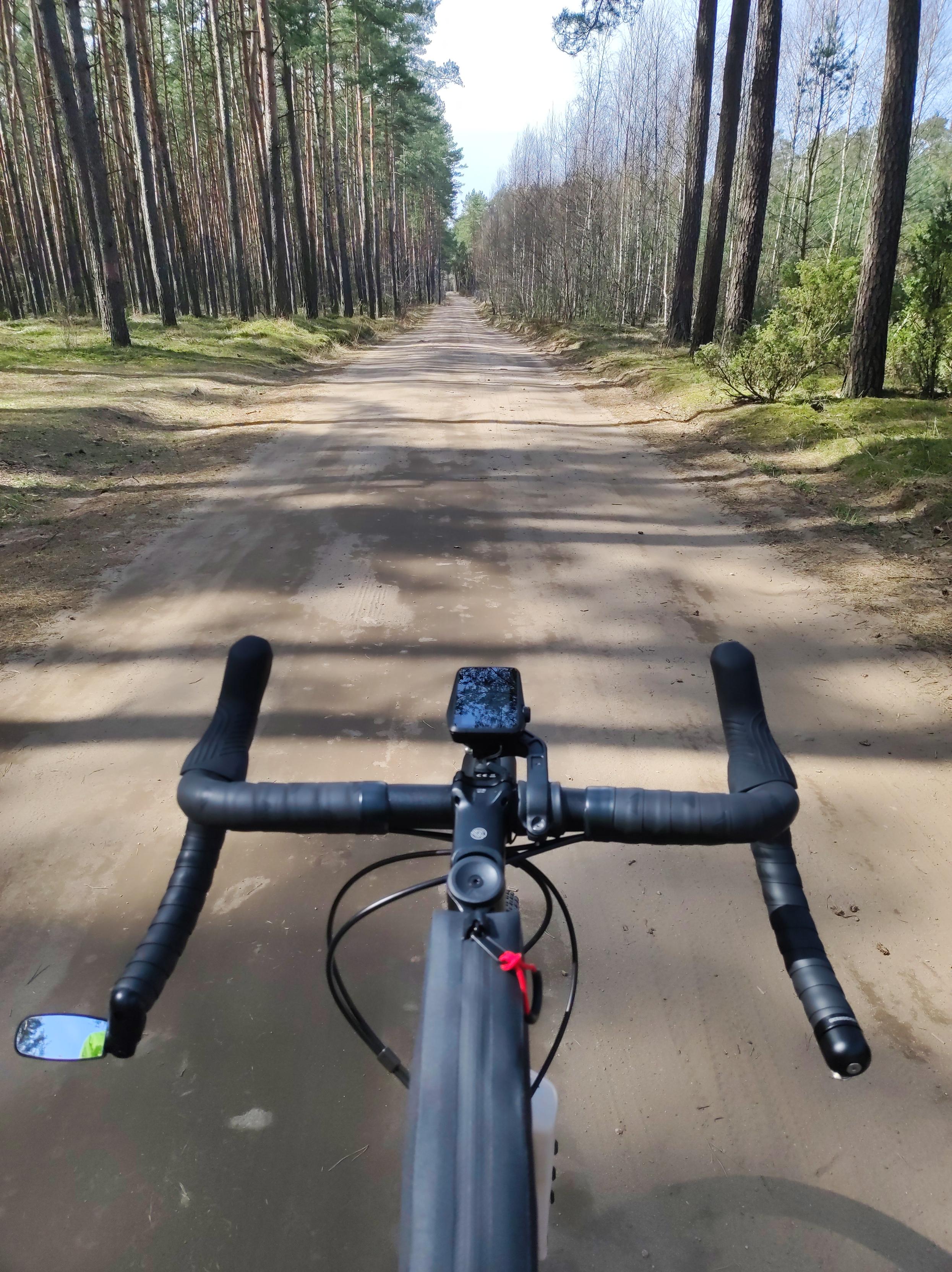 Szeroka leśna droga widziana zza kierownicy roweru szutrowego.