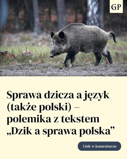 Posted media
