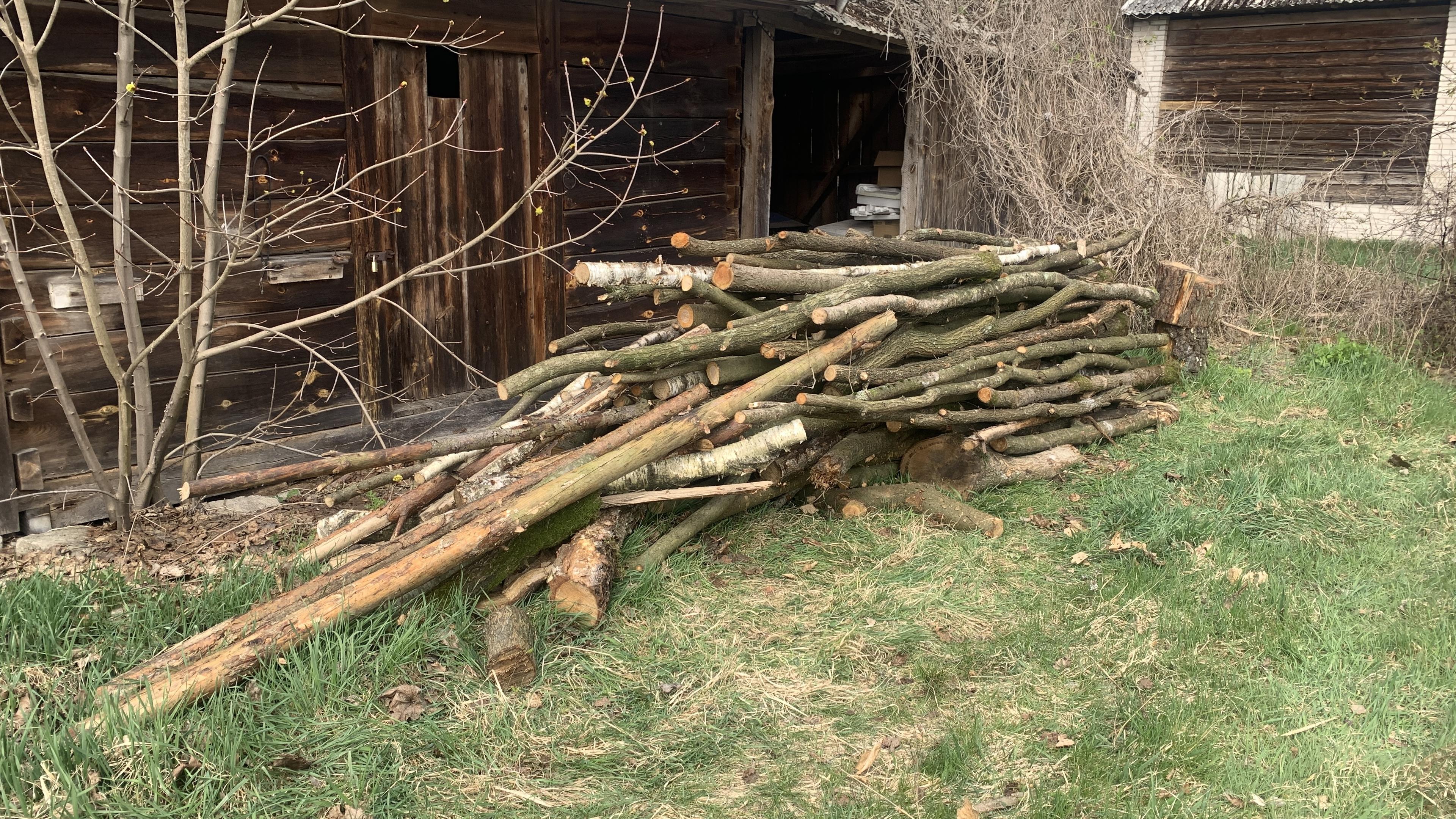 Sterta drewna "gałęziówki" zrzucona z furmanki pod składzik