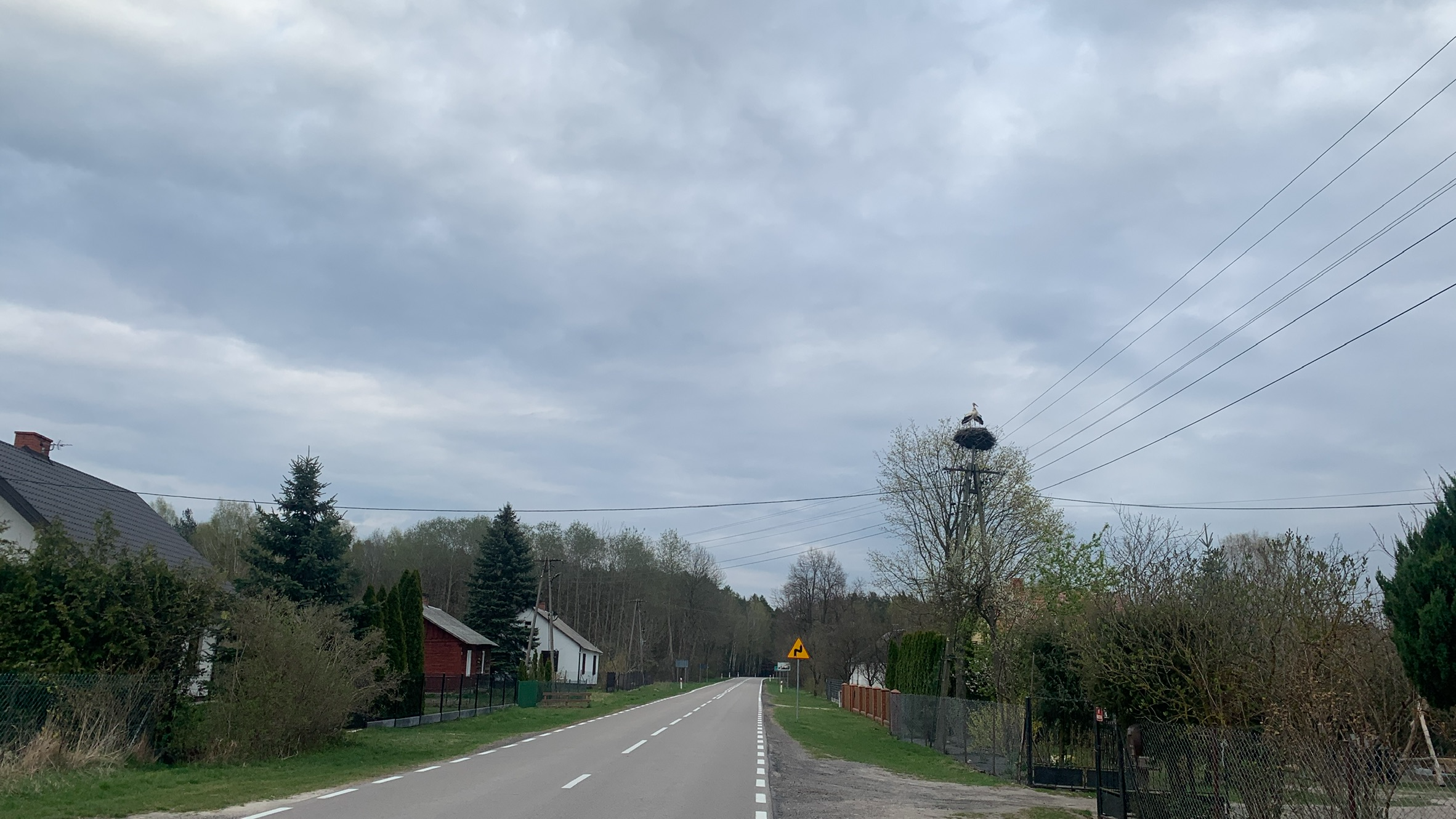 Droga asfaltowa przez wieś, domy po obu stronach, słup energetyczny a na nim gniazdo i para bocianów.
