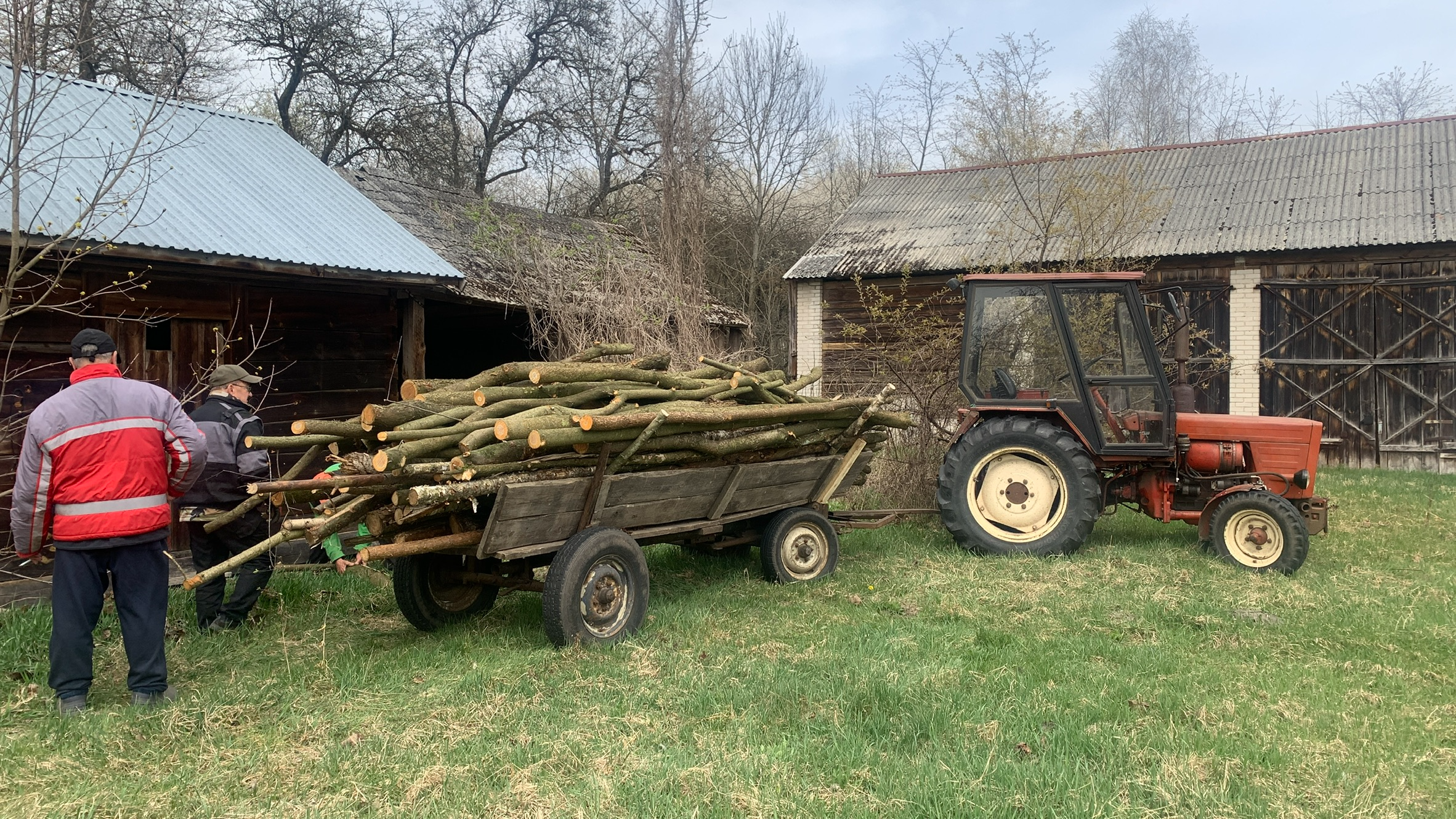 Furmanka pełna drewna "gałęziówki" za traktorem. Na łące przed składzikiem