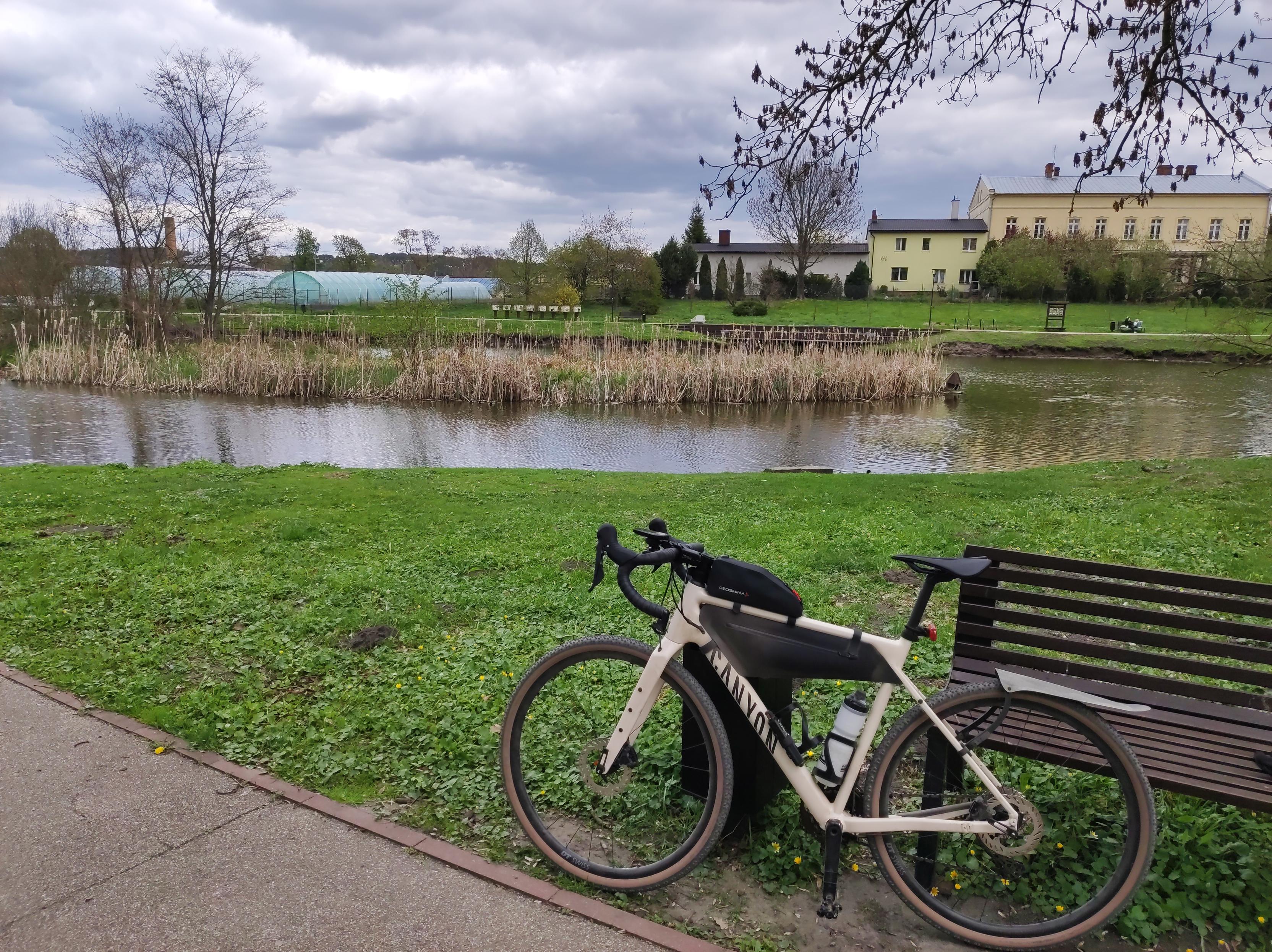 Jasny rower szutrowy Canyon stoi oparty o drewnianą ławkę. Za ławką widać trawnik i staw z suchymi trzcinami.