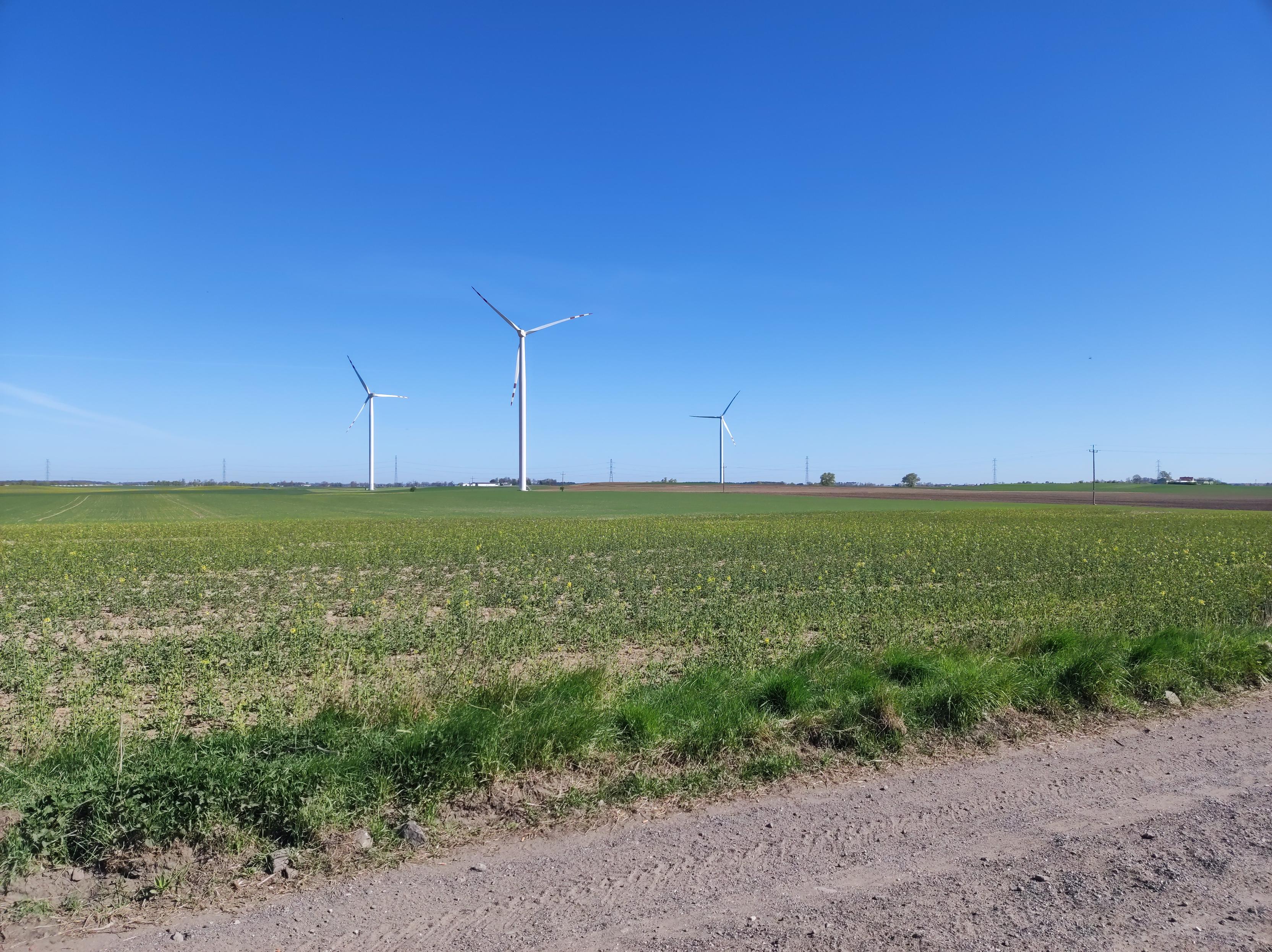 Słoneczny dzień. Pod intensywnie błękitnym niebem, w polu stoją trzy turbiny wiatrowe.