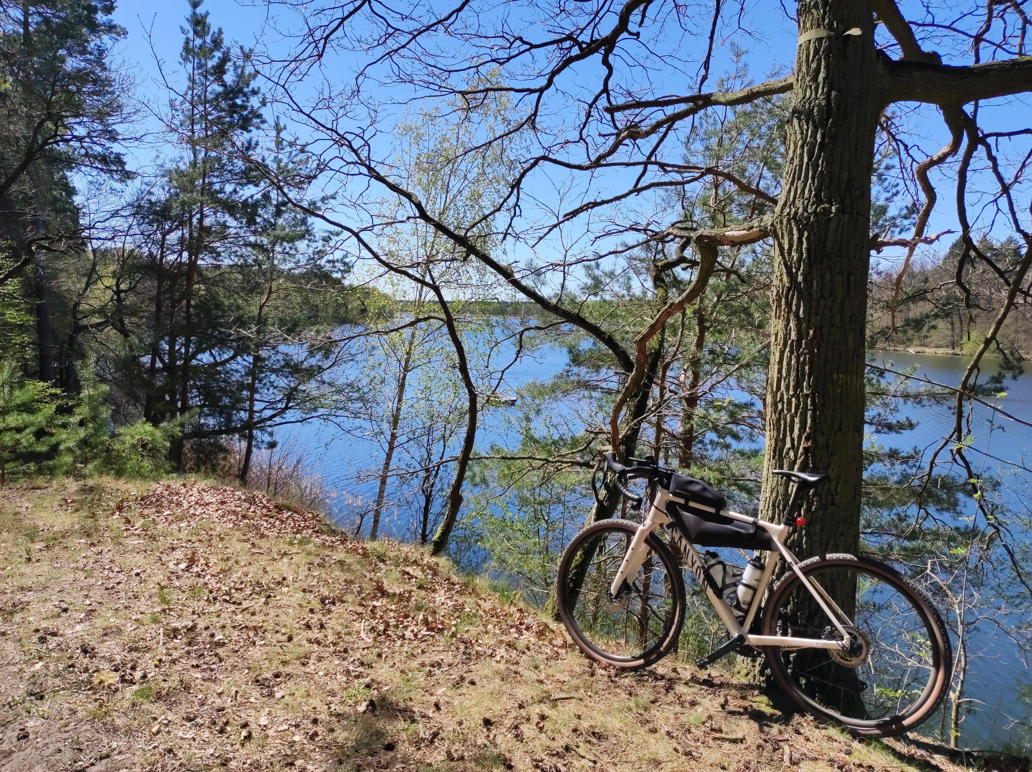 Na wysokiej skarpie nad widocznym w tle zalewem stoi sosna, o której pień oparłem swój rower.