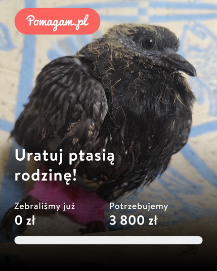 Posted media