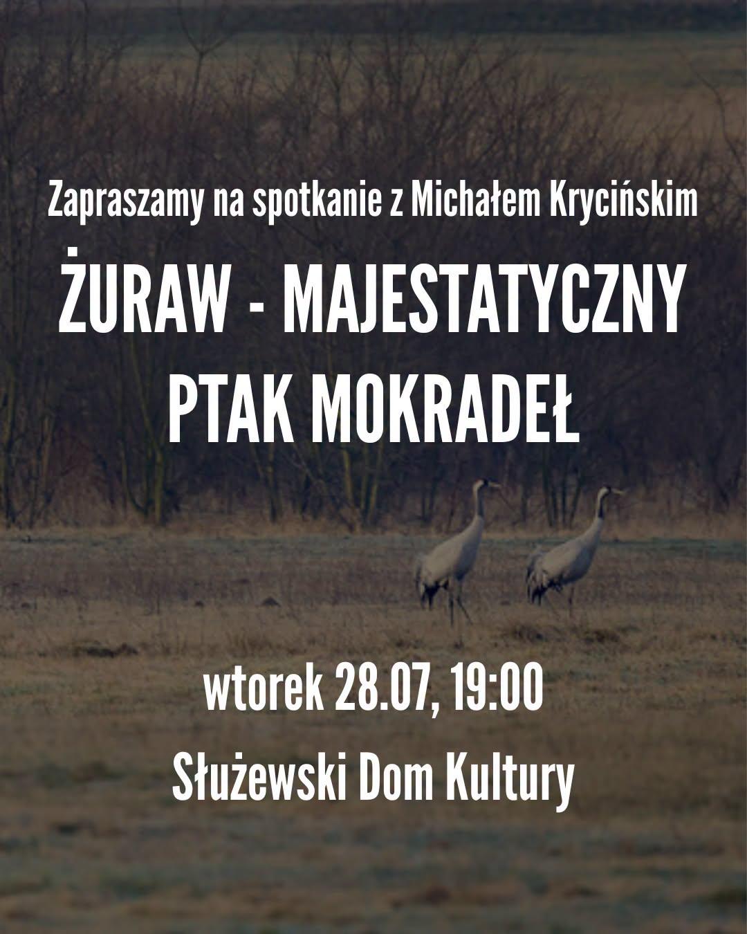 Zdjęcie pary żurawi na łące na przedwiośniu. Napis: "Zapraszamy na spotkanie z Michałem Krycińskim: 'Żuraw - majestatyczny ptak mokradeł' wtorek 28.07, 19:00, Służewski Dom Kultury'"