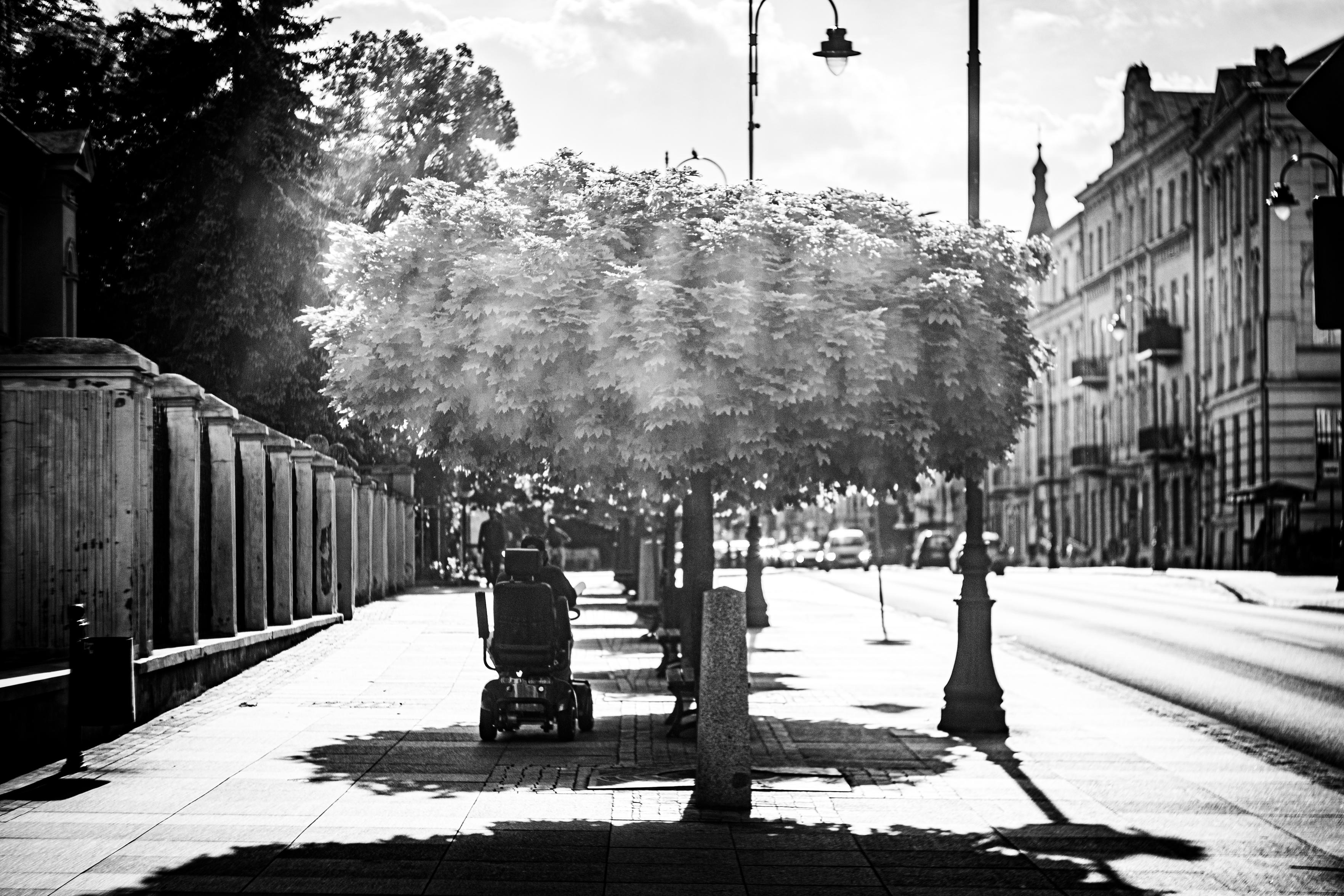 Czarno-biała fotografia przedstawia szeroki chodnik biegnący wzdłuż miejskiej ulicy. W centrum kadru rośnie niewielkie drzewo z bardzo gęstą koroną przyciętą w niemal idealny okrąg. Słońce znajduje się za drzewem, dlatego przez liście przebijają jasne promienie światła, tworząc delikatną poświatę.

Pod drzewem stoi elektryczny wózek inwalidzki z siedzącą na nim osobą, widoczną od tyłu. Człowiek znajduje się w cieniu i patrzy w kierunku ulicy, przez co pozostaje anonimowy. Wokół stoją ławki oraz granitowy słupek oddzielający część pieszą od jezdni.

Po lewej stronie ciągnie się mur z rytmicznie rozmieszczonymi słupkami, a za nim rosną wysokie drzewa. Po prawej stronie widać pustą ulicę i rząd zabytkowych kamienic z balkonami. Nad jezdnią stoją stylowe latarnie.

Niskie popołudniowe słońce rzuca długie cienie drzew, latarni i słupków na chodnik, tworząc wyraźny geometryczny wzór. Zdjęcie sprawia wrażenie spokojnego i cichego. Łączy miejski krajobraz z chwilą samotnego odpoczynku, pozostawiając widzowi przestrzeń do własnej interpretacji.