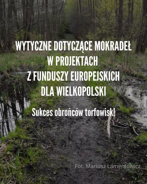 Zdjęcie ścieżki prowadzącej groblą przez podmokły las olchowy wczesną wiosną. Napis "Wytyczne dotyczące mokradeł w projektach z Funduszy Europejskich dla Wielkopolski - sukces obrońców torfowisk." Fot. Mariusz Lamentowicz