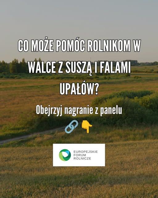 Zdjęcie krajobrazu złożonego z pola uprawnego i łąk przeciętych polną drogą i rowami z zaroślami wierzby. Napis: Co może pomóc rolnikom w walce z suszą i falami upałów? Obejrzyj nagranie z panelu!