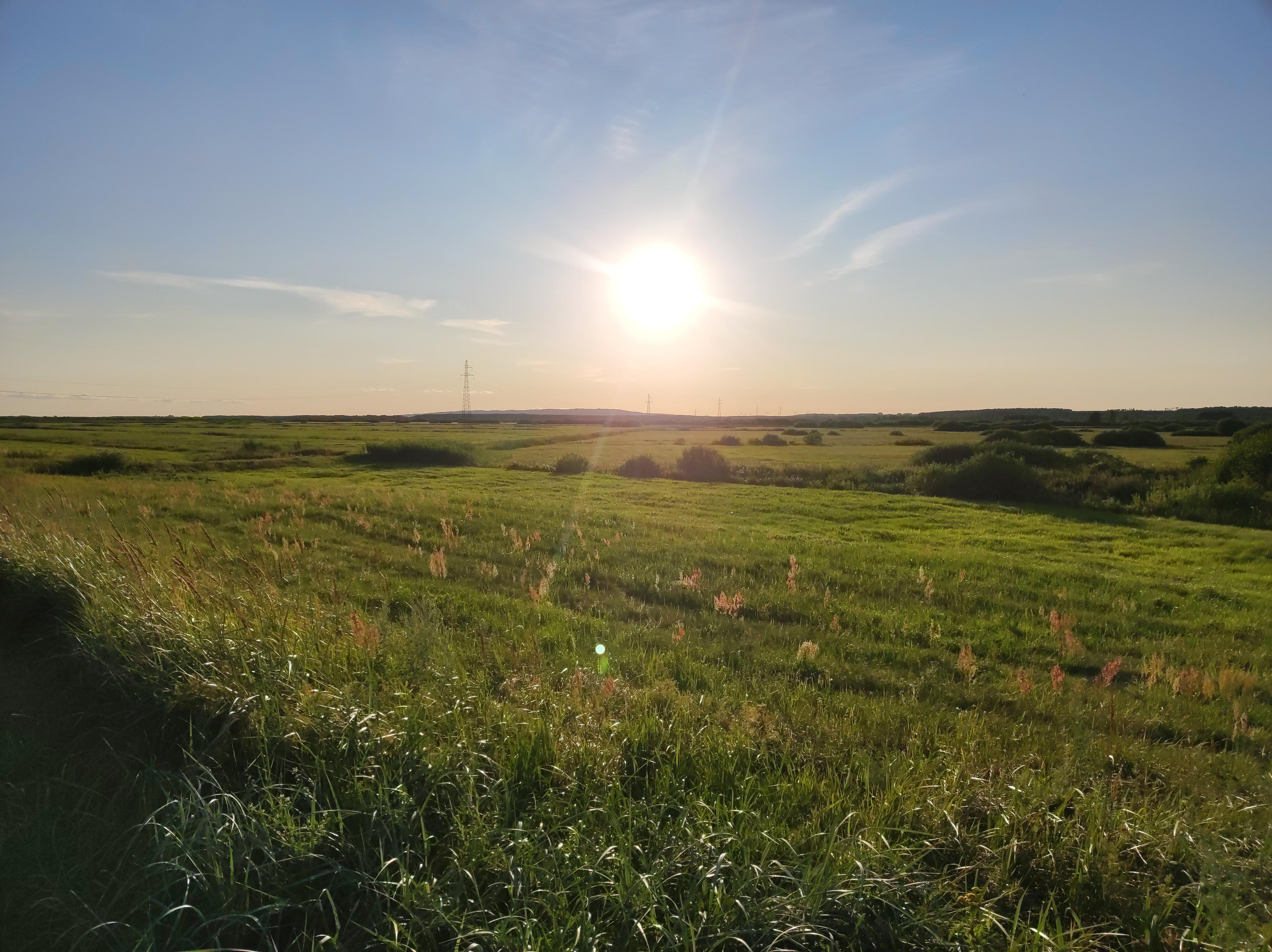 Szerokie połacie łąk skąpane w ciepłym świetle słońca znajdującego się nisko nad horyzontem.