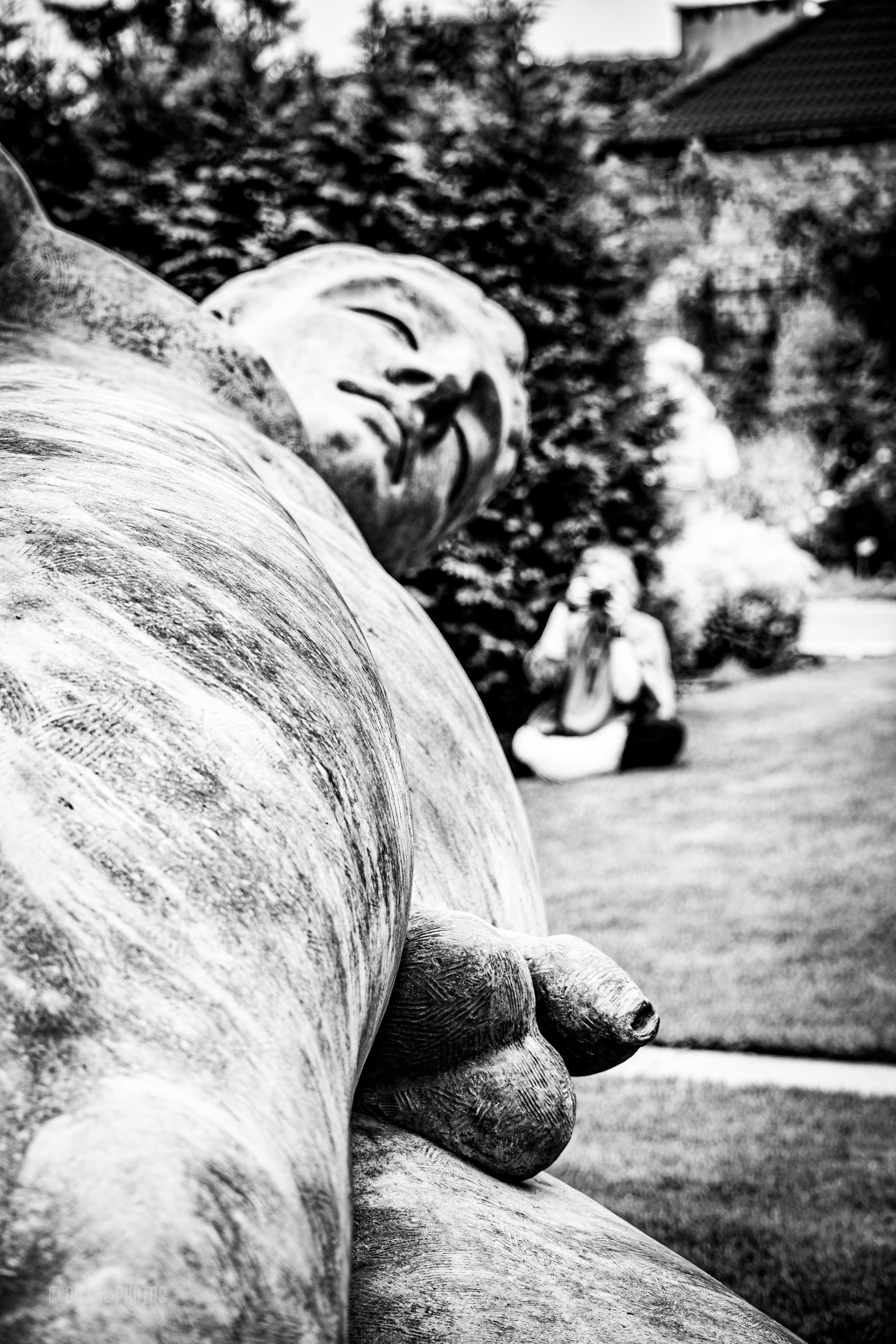Na pierwszym planie znajduje się monumentalna rzeźba przedstawiająca leżącego mężczyznę. Kadr został wykonany z bardzo bliskiej perspektywy, dzięki czemu dominują w nim faktura ciała, spokojna twarz z zamkniętymi oczami oraz fragment torsu. Perspektywa sprawia, że postać wydaje się znacznie większa od otoczenia. W tle, pozostawionym poza ostrością, siedzi na trawie kobieta fotografująca rzeźbę telefonem. Całość otaczają drzewa i ogród rzeźb. Czarno-biała fotografia podkreśla kontrast między gładkimi liniami rzeźby a miękkim, rozmytym tłem, tworząc obraz, w którym dzieło sztuki i osoba je obserwująca stają się elementami jednej kompozycji.
