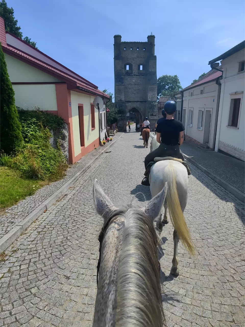 zabytkowa brama w Szydłowie, z siwą końską łepetyną na pierwszym planie. Przed nami jeszcze parę koni, bezchmurne błękitne niebo, przepiemknie.