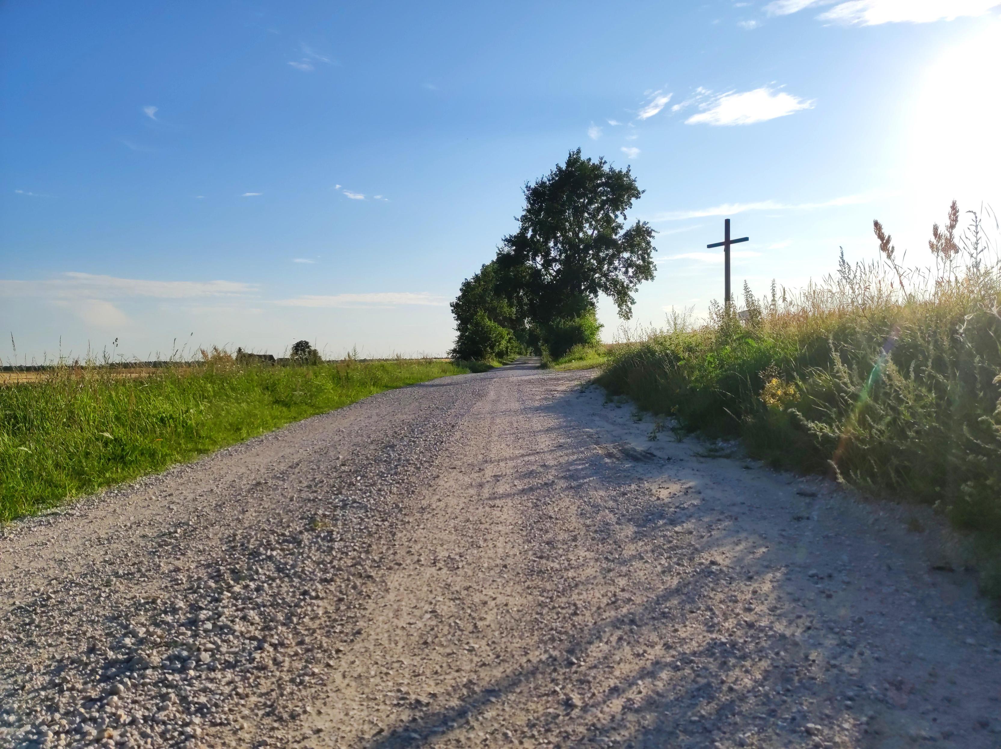 Jasna, szutrowa droga przez pola otoczona zielonymi miedzami, za którymi widać pola dojrzałego pola. Po prawej do drogi dochodzi boczna, a przy skrzyżowaniu dróg stoi krzyż. Za skrzyżowaniem droga wchodzi w aleję drzew i krzewów.