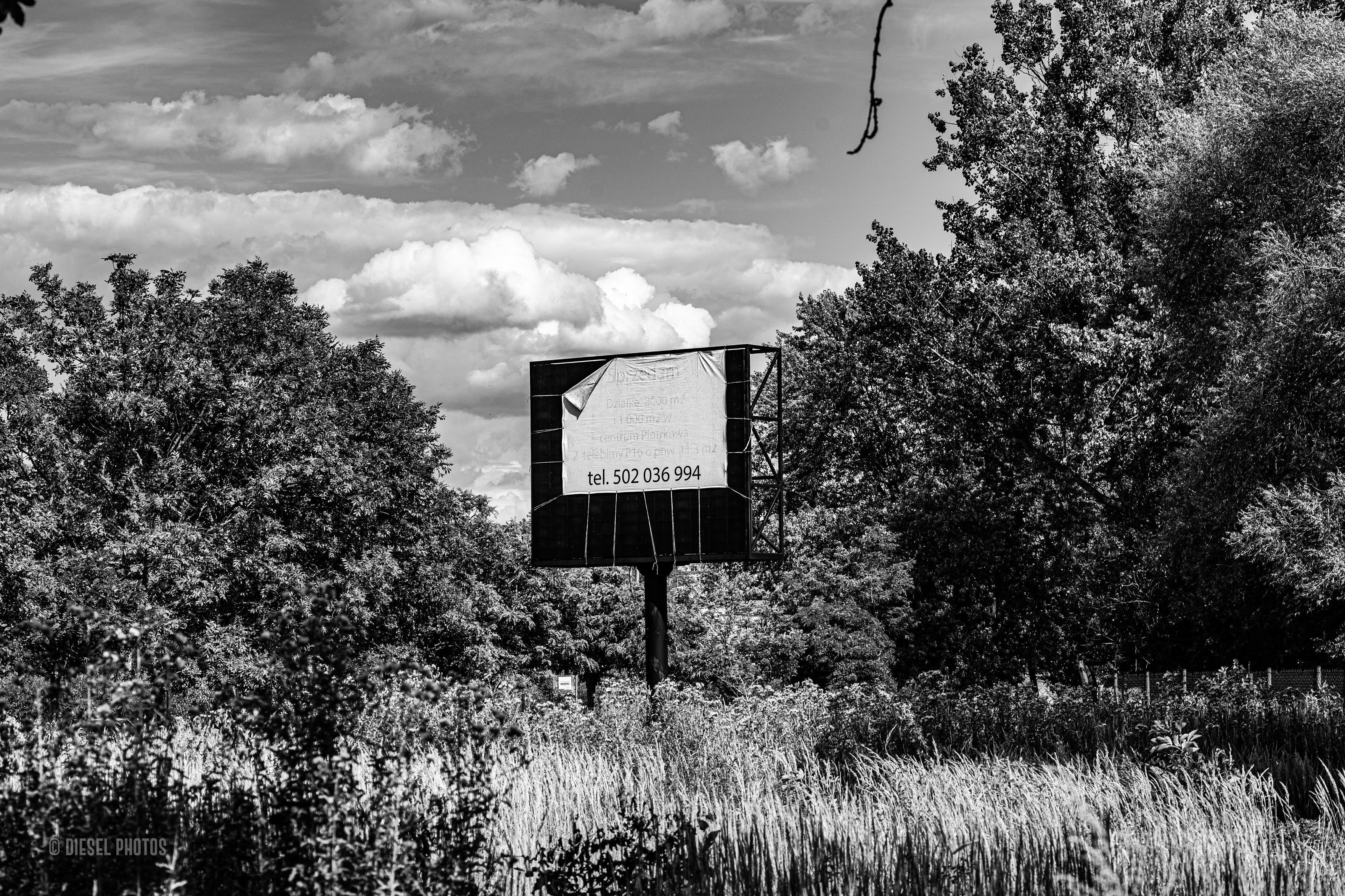 Na środku kadru stoi duży, niemal pusty billboard, z którego pozostał jedynie fragment wyblakłego plakatu z częściowo czytelnym numerem telefonu. Reklama otoczona jest bujną roślinnością – wysokimi trawami, krzewami i drzewami – które niemal całkowicie przejęły przestrzeń wokół konstrukcji. W tle rozciąga się niebo wypełnione dużymi, kłębiastymi chmurami. Czarno-biała fotografia podkreśla kontrast między geometryczną formą billboardu a naturalnym chaosem otaczającej go zieleni. Opuszczona konstrukcja sprawia wrażenie reliktu minionej epoki, stopniowo odzyskiwanego przez przyrodę.