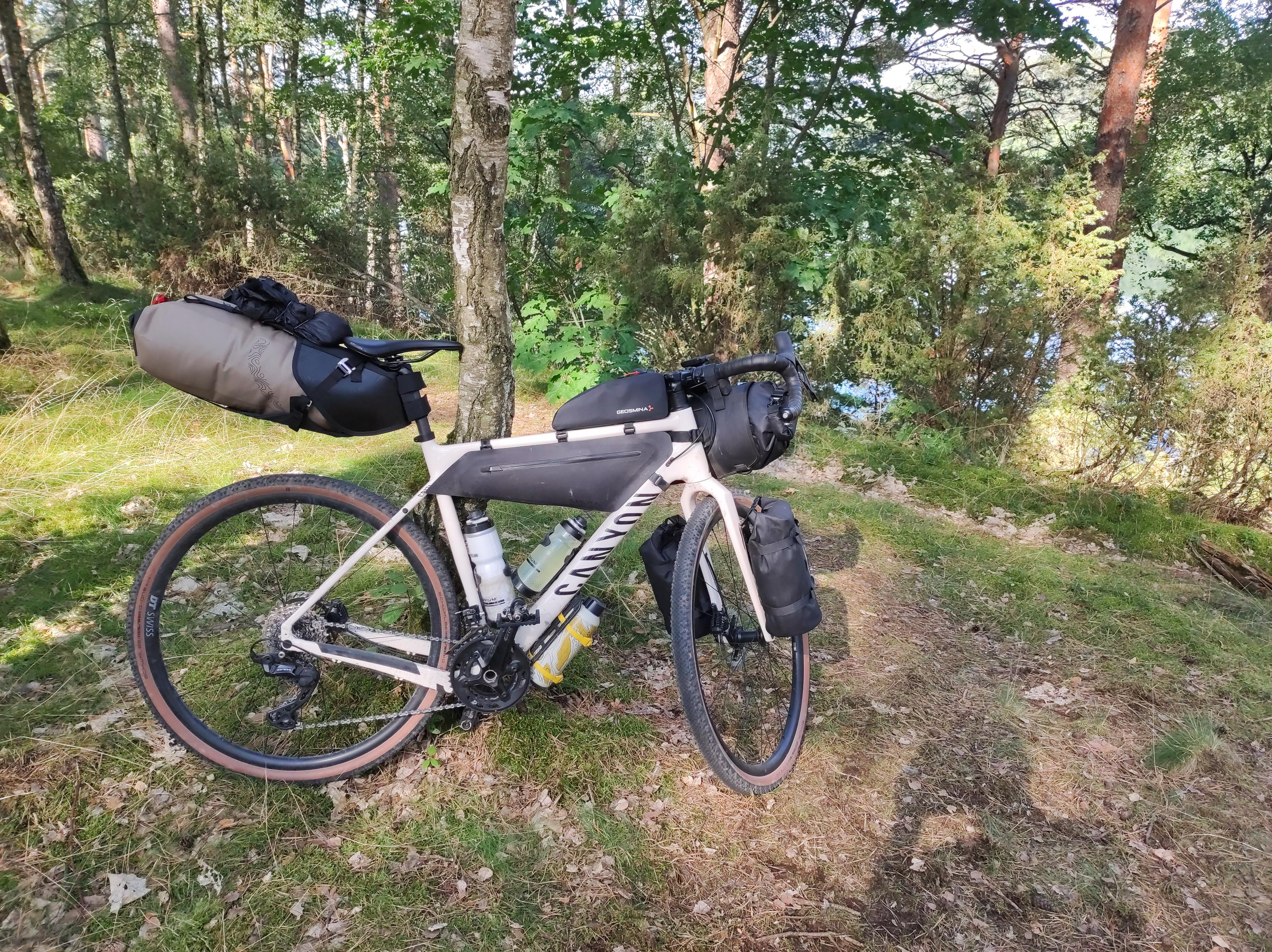 Biały rower szutrowy objuczony torbami stoi oparty o młodą brzozę. W tle jezioro ukryte za krzewami.
