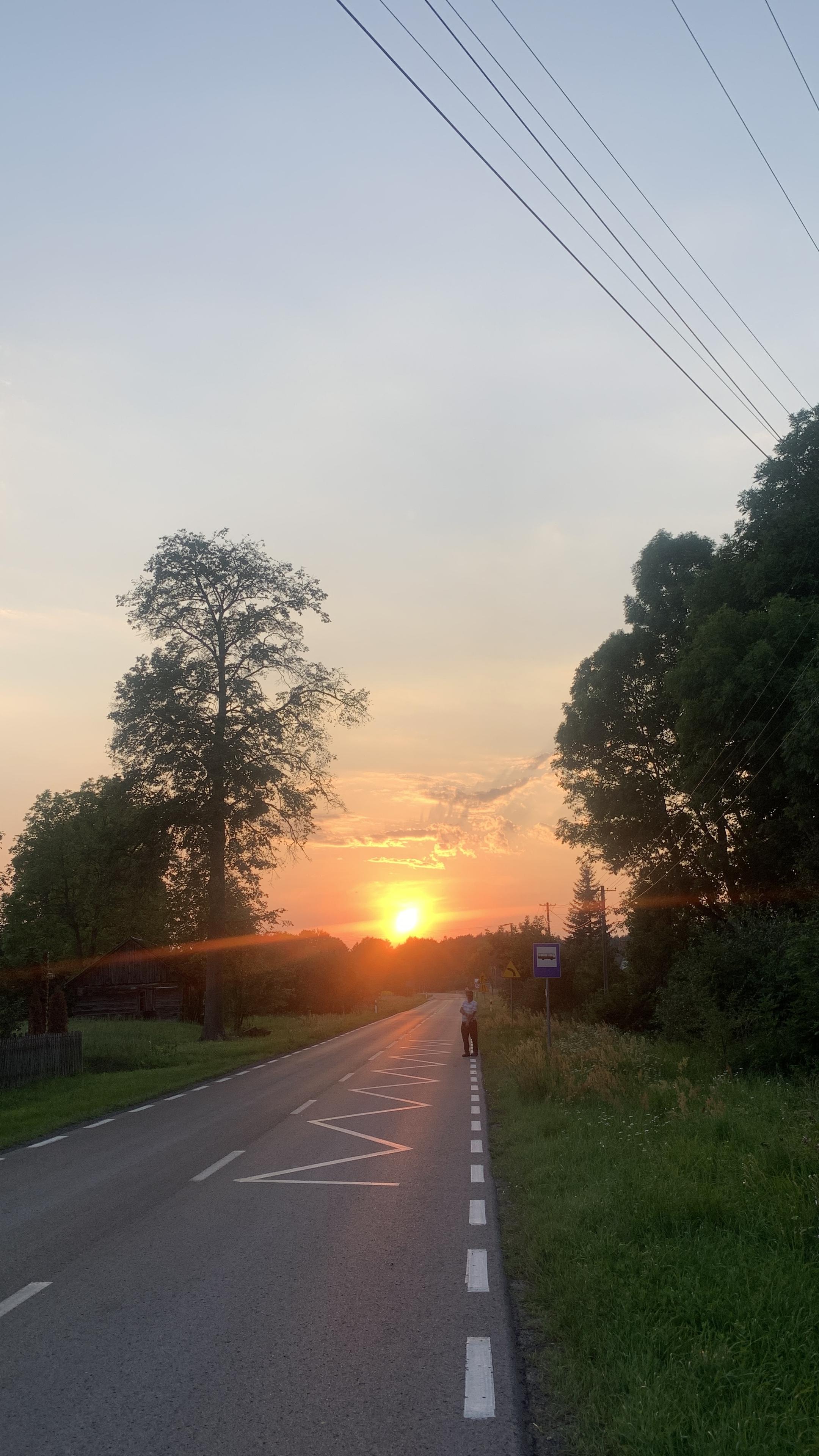 Zachód słońca nad drogą między drzewami