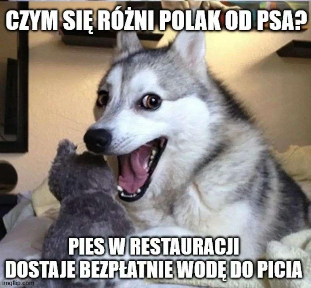 Posted media