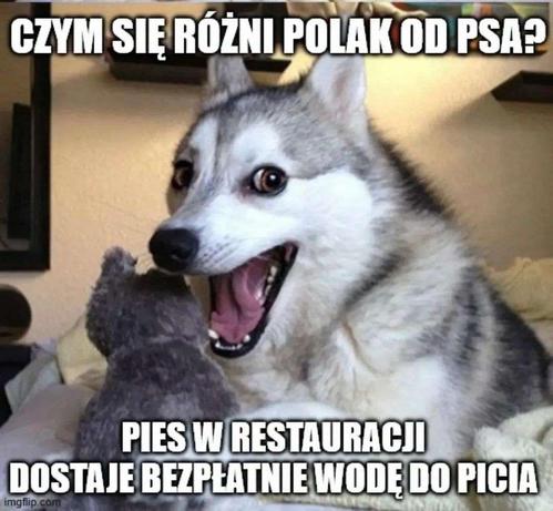Posted media