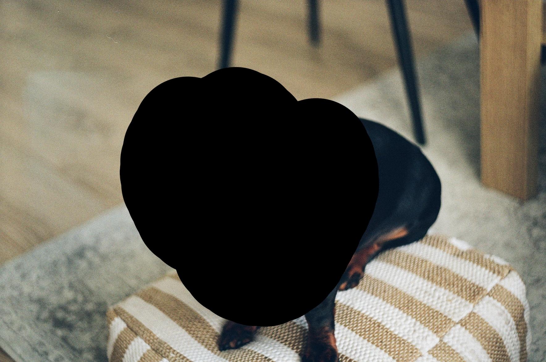 Photo with a white spot